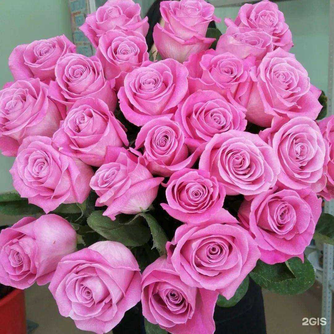 Отзывы на компанию БирЦветТорг в г. Биробиджан c фото