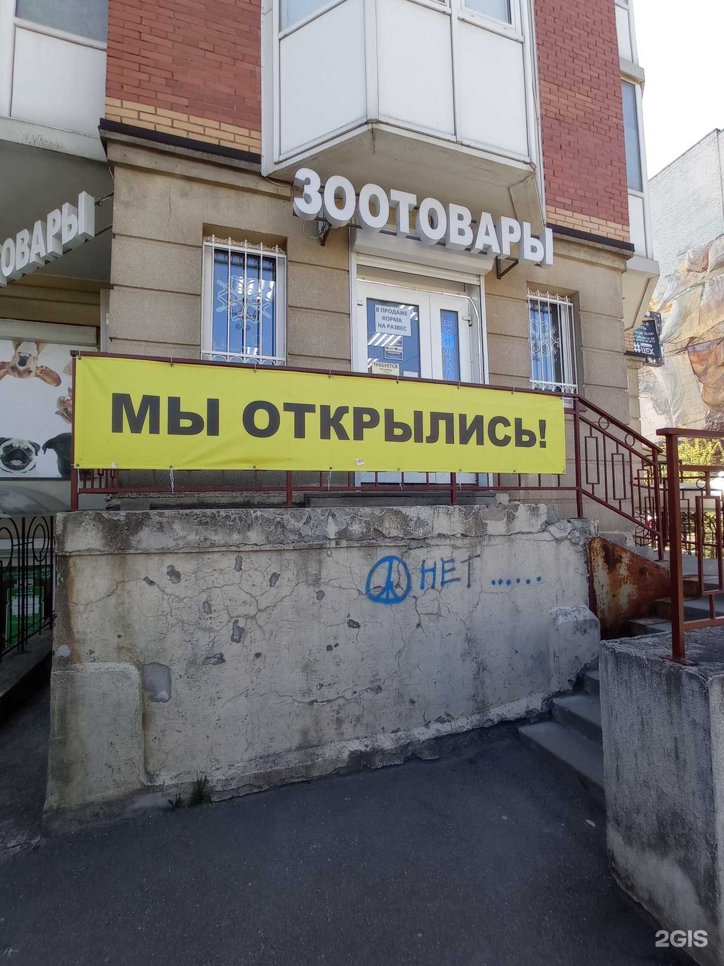 Отзывы на компанию Верные друзья  в Гатчине c фото