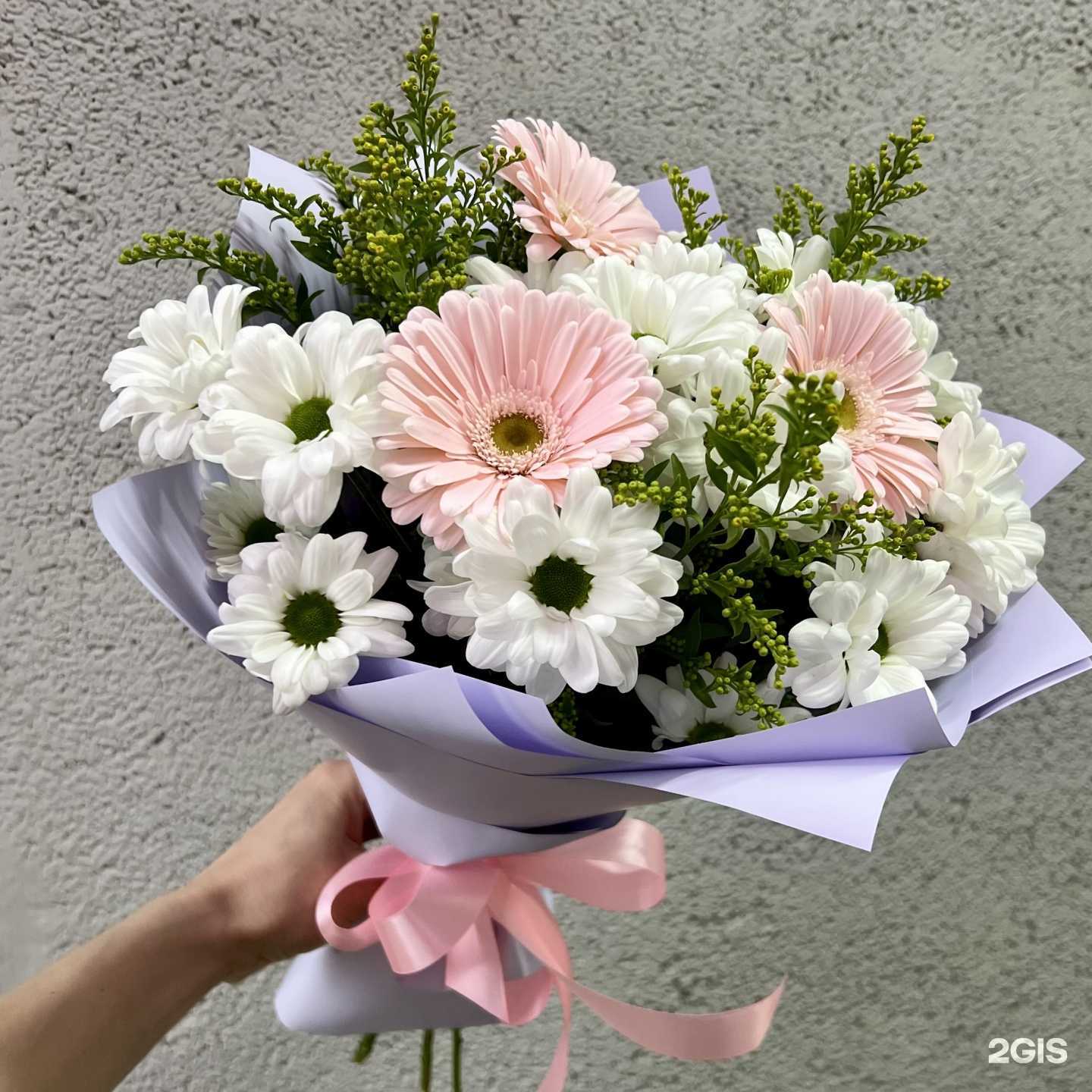 Отзывы на компанию Георгин в г. Саратов c фото