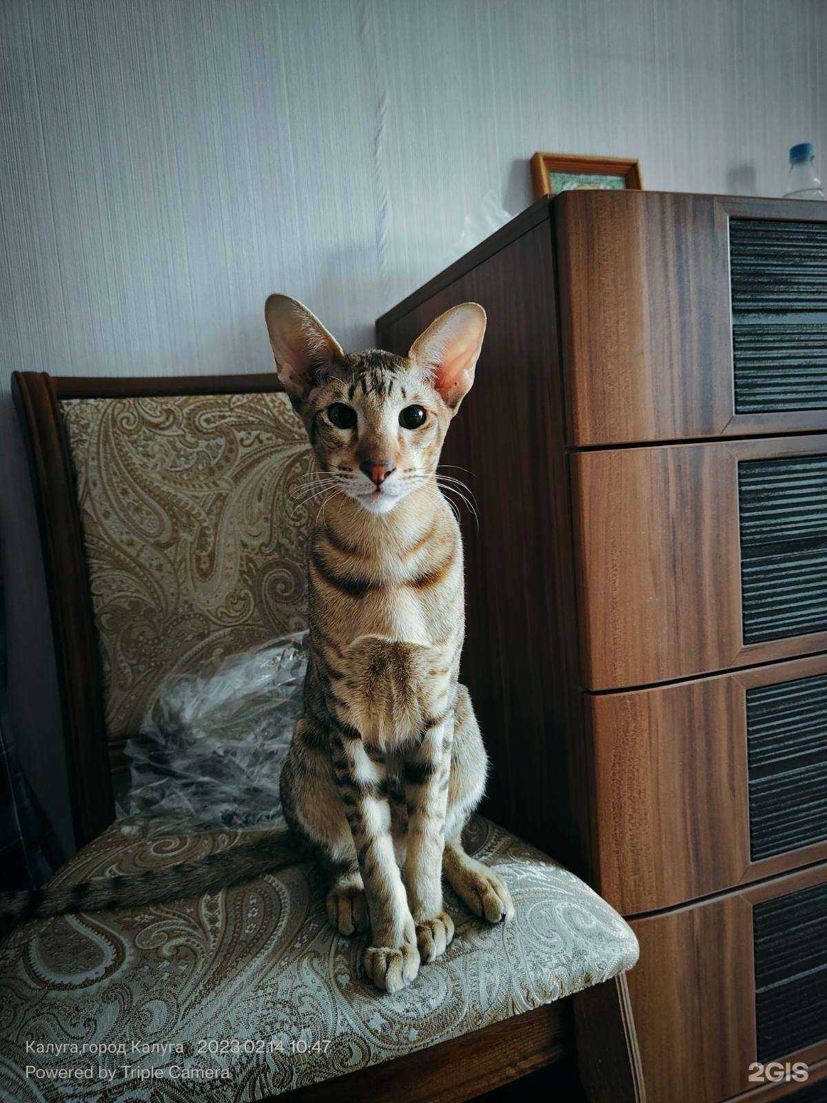 Отзывы на компанию ВетПрофи в г. Иваново c фото