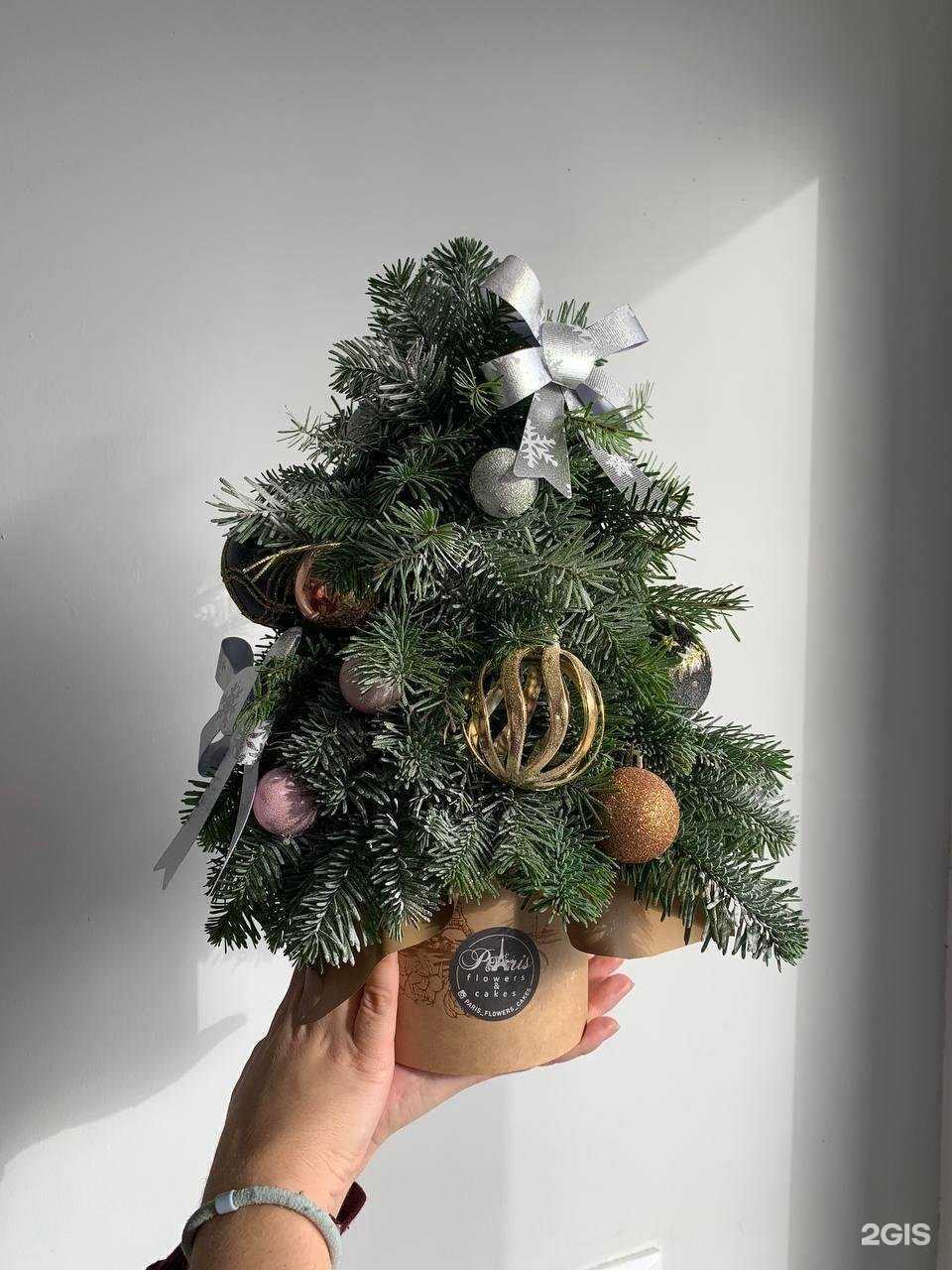 Отзывы на компанию Paris в Астрахани c фото