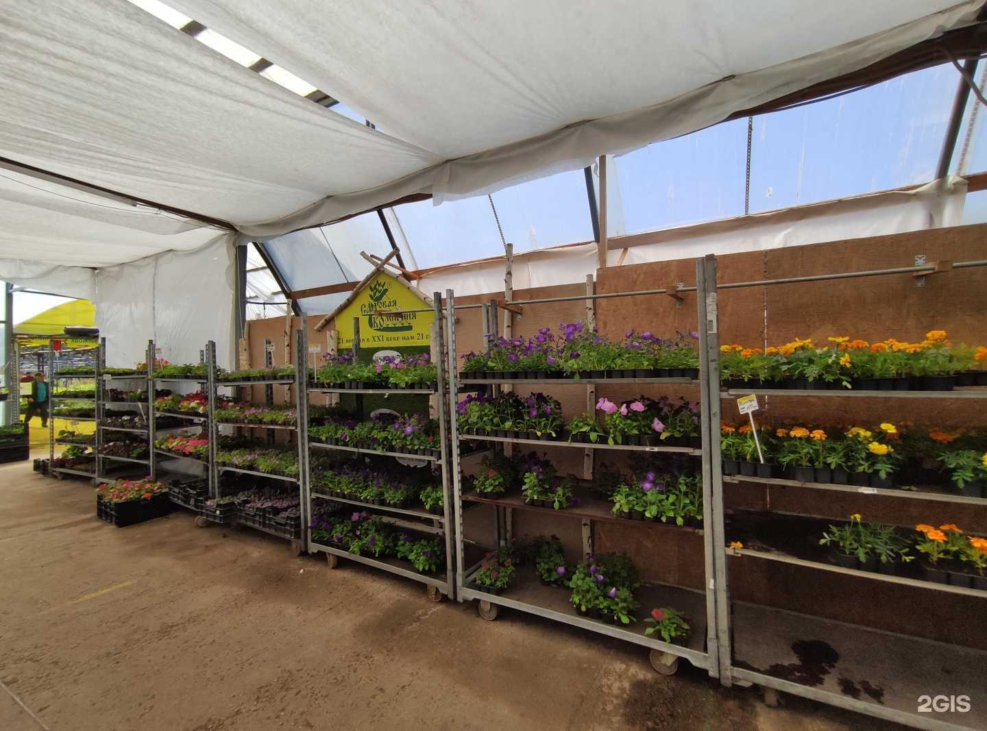 Отзывы на компанию Колос в г. Пушкино c фото