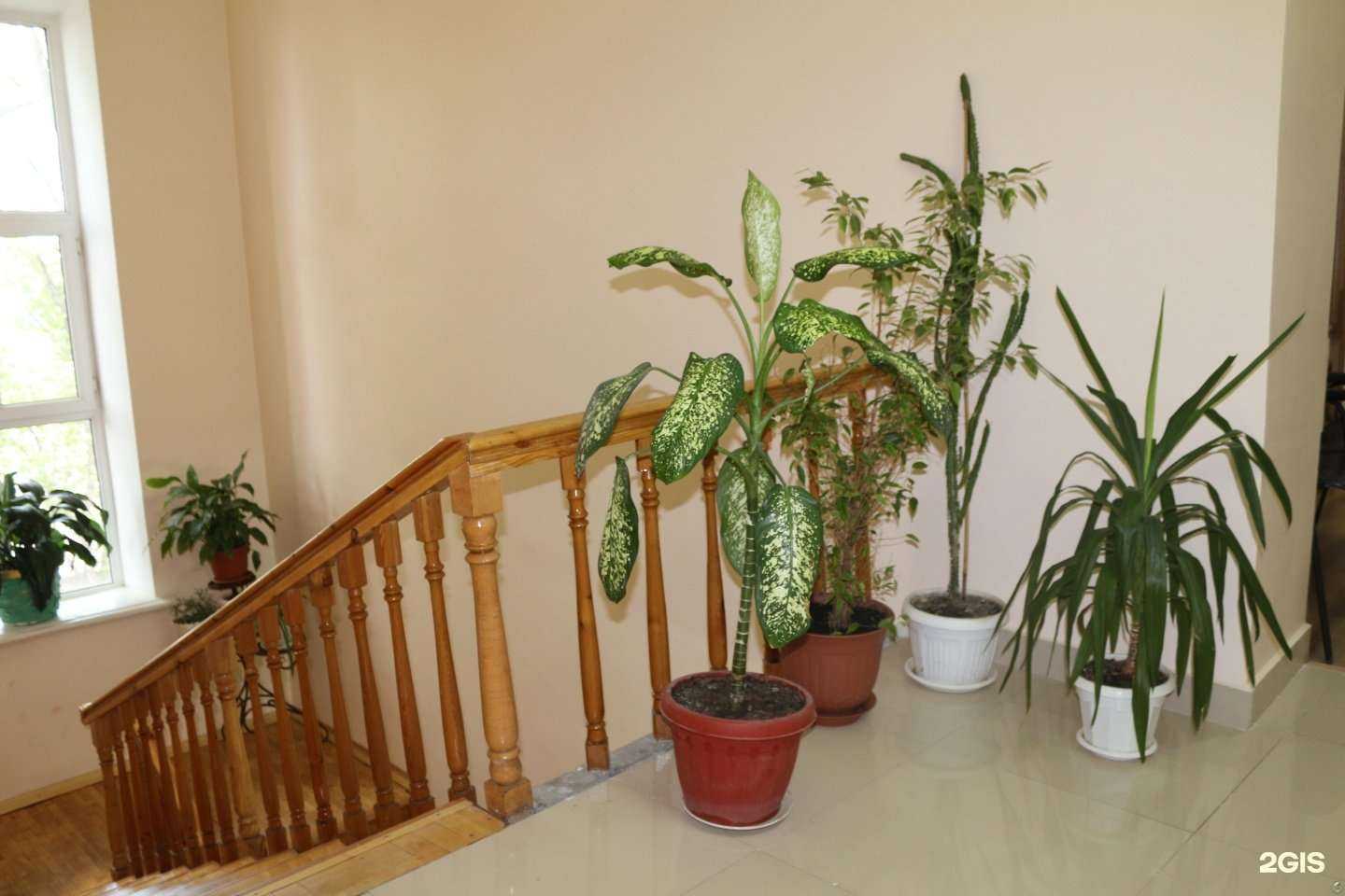 Отзывы на компанию Гериатрический центр в Махачкале c фото