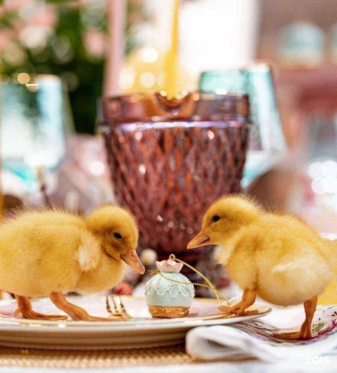 Отзывы на компанию RoseHill в Наро-Фоминске c фото