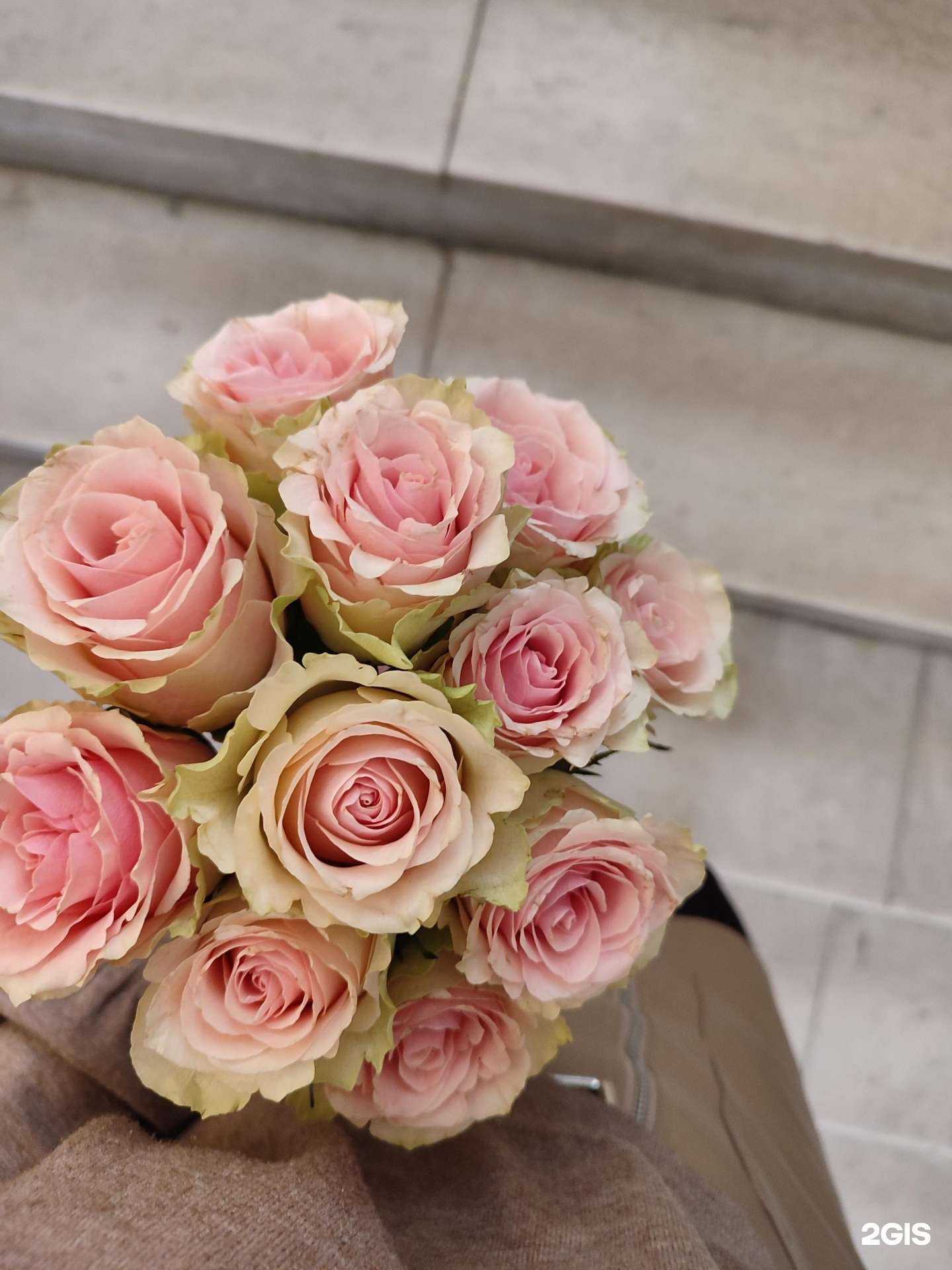 Отзывы на компанию Цветочный склад-магазин в Кургане c фото