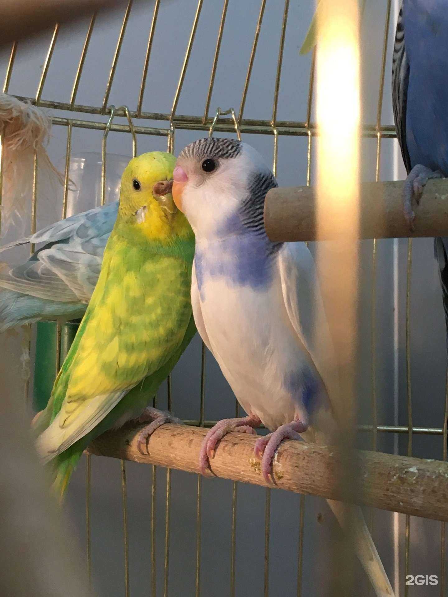 Отзывы на компанию Зоомагазин №1 в г. Казань c фото