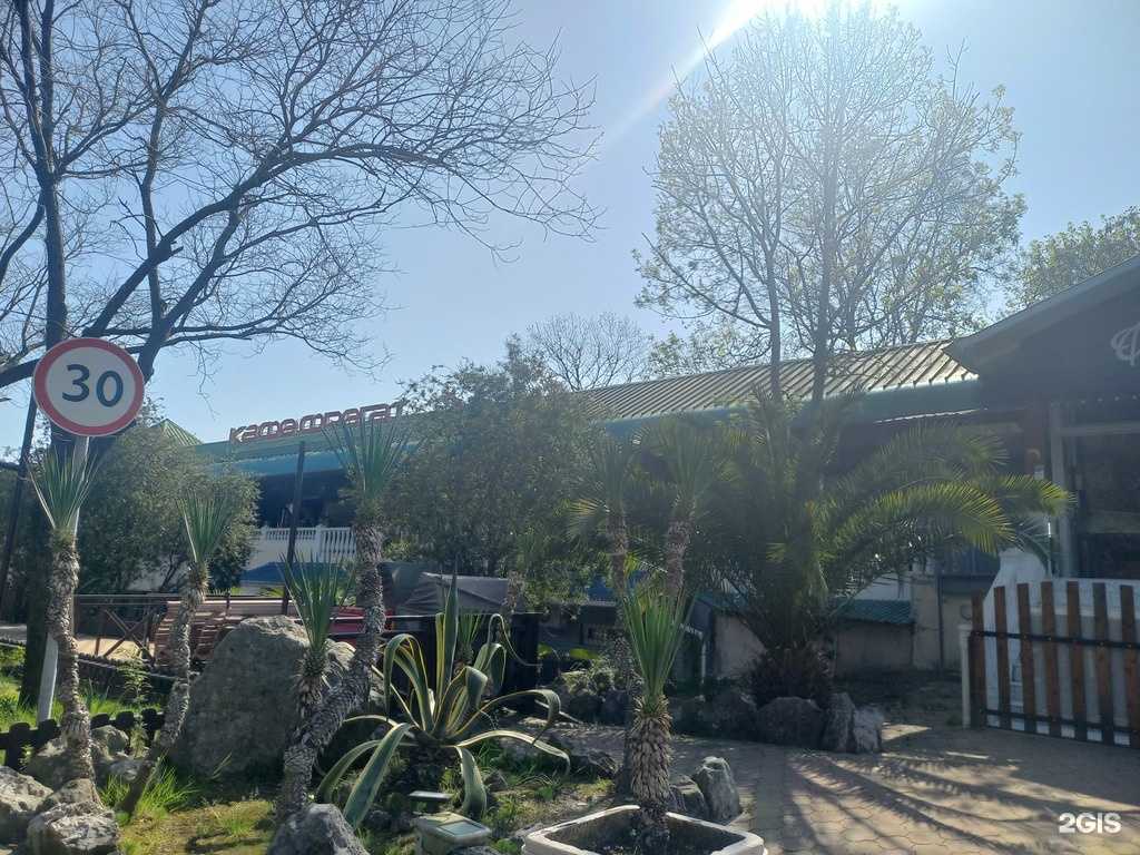 Отзывы на компанию Шоурма в г. Сочи c фото