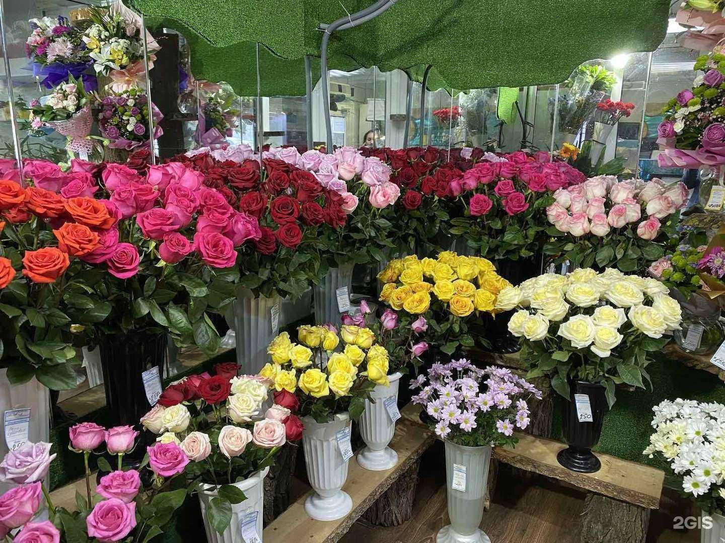 Отзывы на компанию Фиеста в г. Астрахань c фото