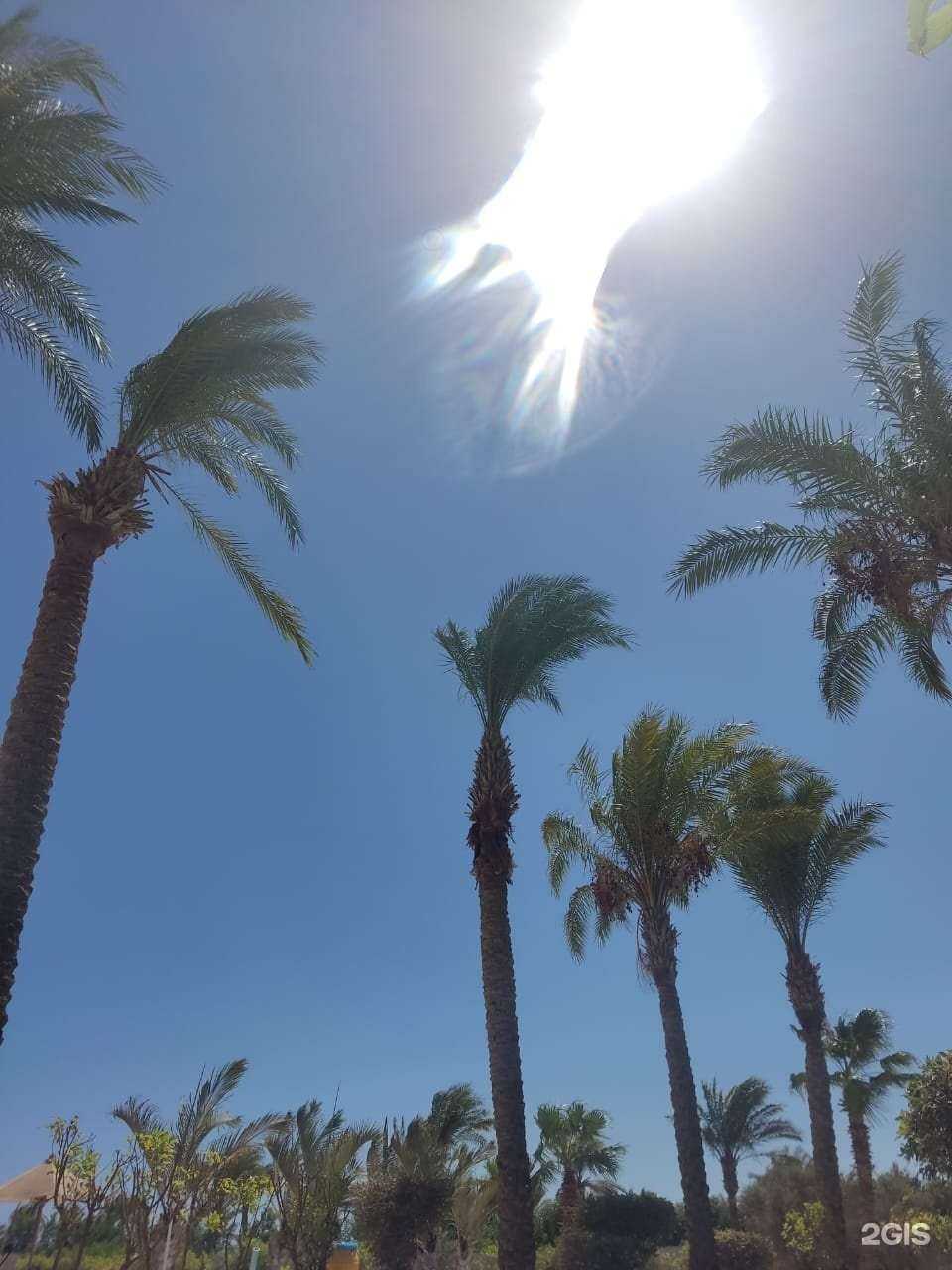 Отзывы на компанию Гермес Тур в г. Якутск c фото