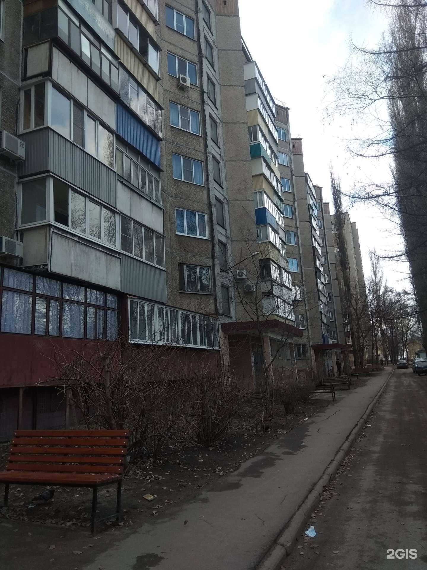 Отзывы на компанию Оранжевый кот в Липецке c фото - фотография 2 из 2