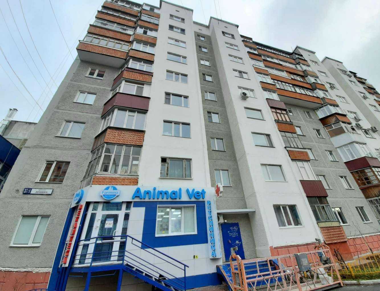 Отзывы на компанию Энимал Вет в Сургуте c фото - фотография 2 из 2