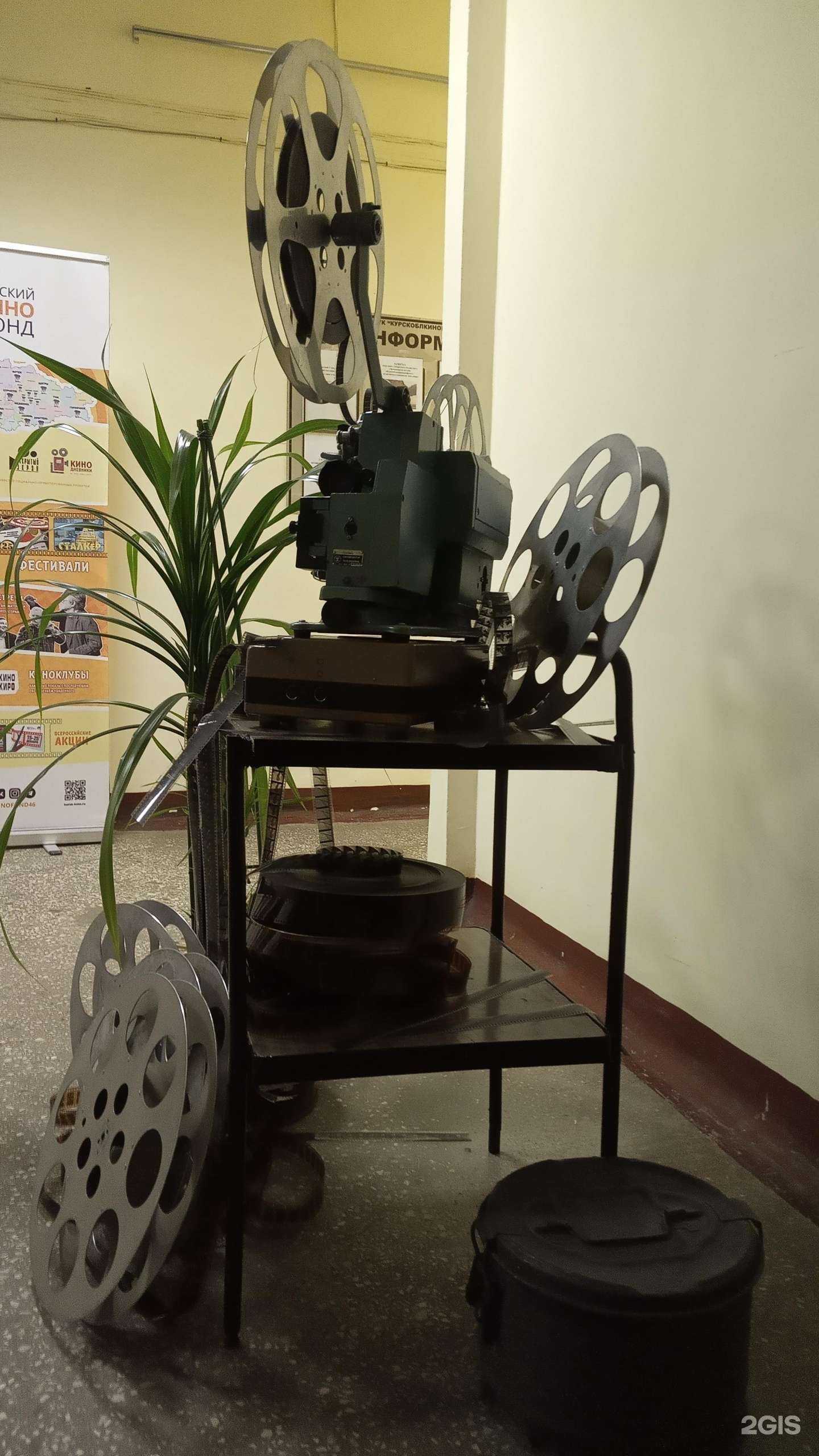 Отзывы на компанию Дирекция по кинопоказу и проведению культурно-массовых мероприятий в Курске c фото - фотография 2 из 2