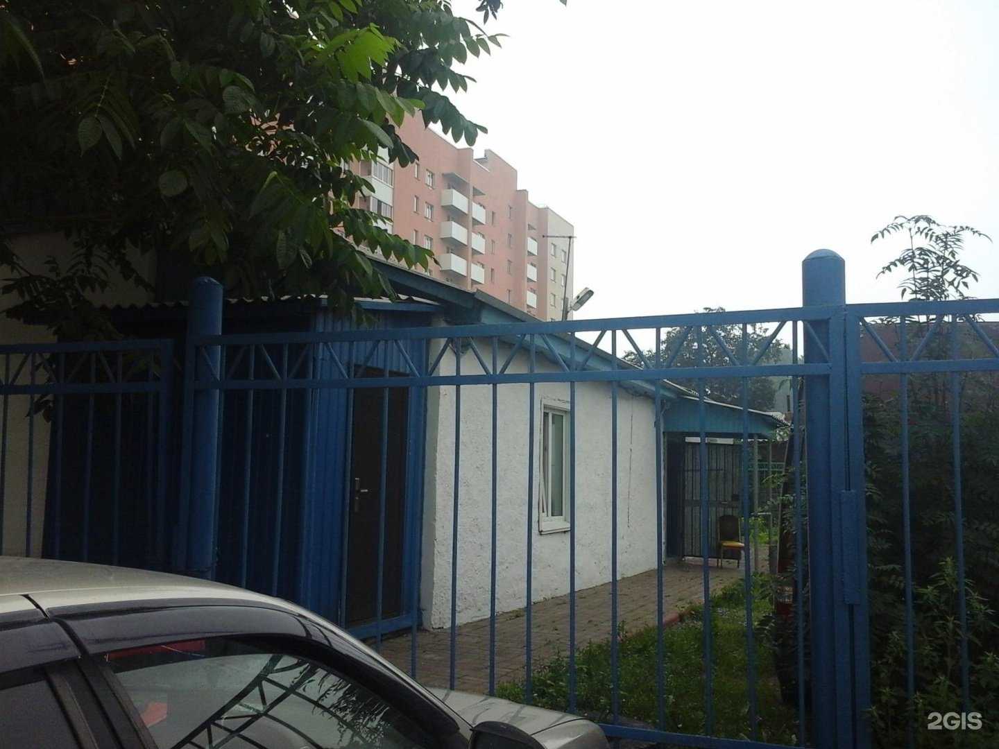 Отзывы на компанию Синдзицу в г. Кемерово c фото