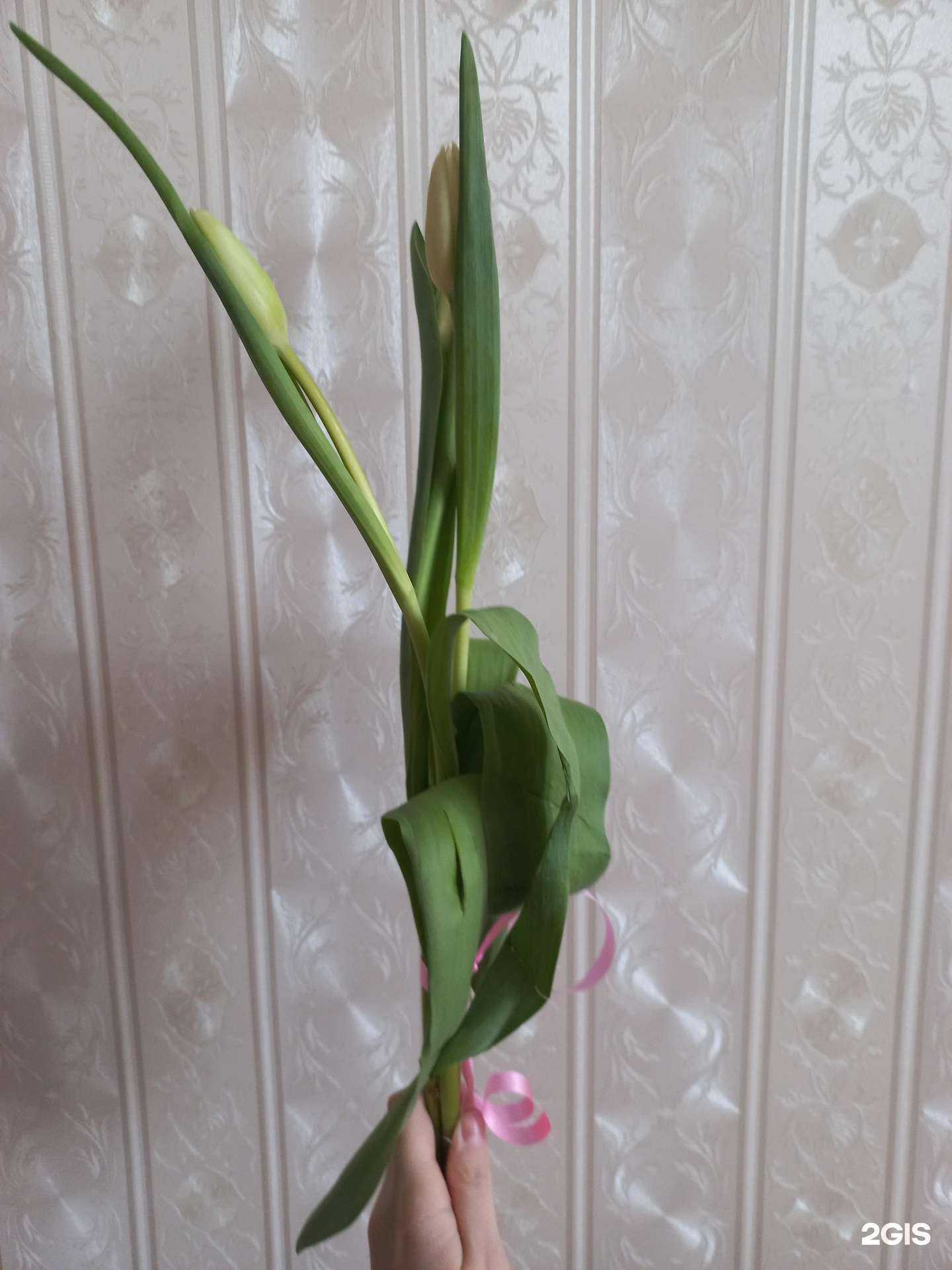 Отзывы на компанию Sakura в г. Туймазы c фото