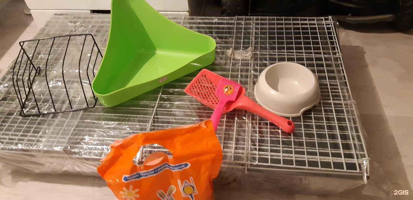 Отзывы на компанию Zooclub в г. Пермь c фото