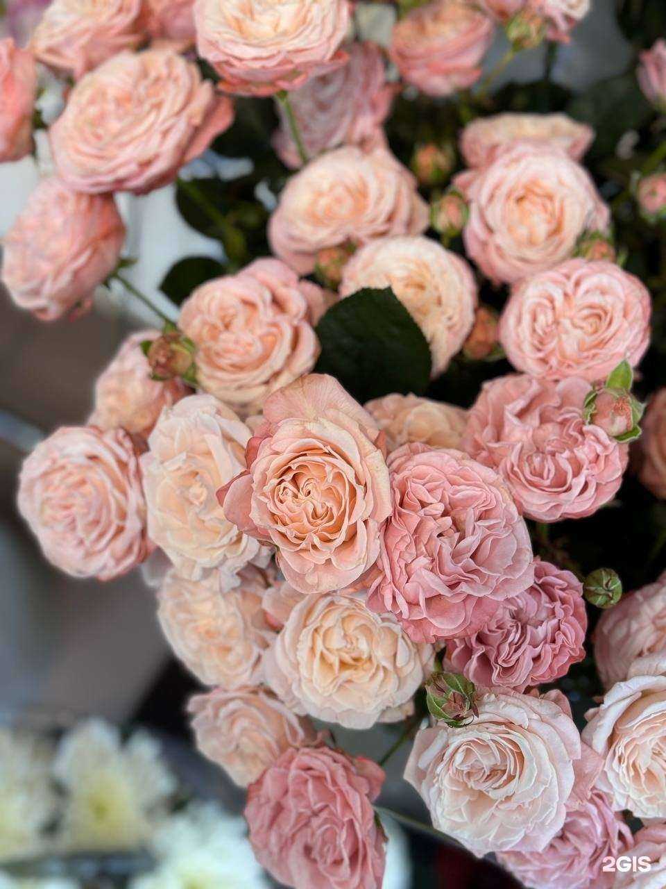 Отзывы на компанию ТочкаЦветочка в г. Сургут c фото