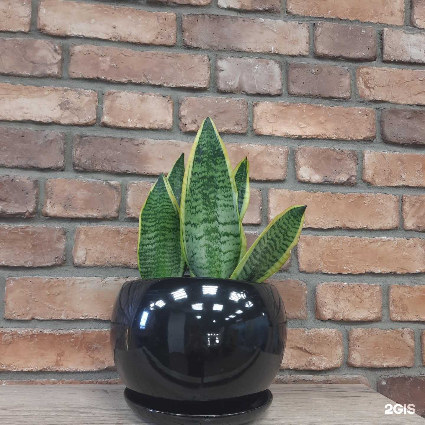 Отзывы на компанию Твоё место в г. Иркутск c фото