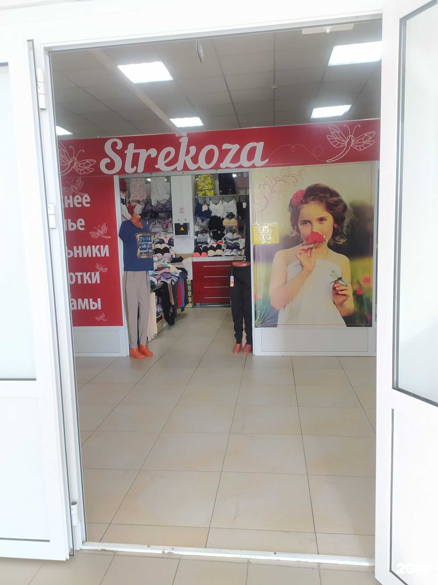 Отзывы на компанию Strekoza в Омске c фото