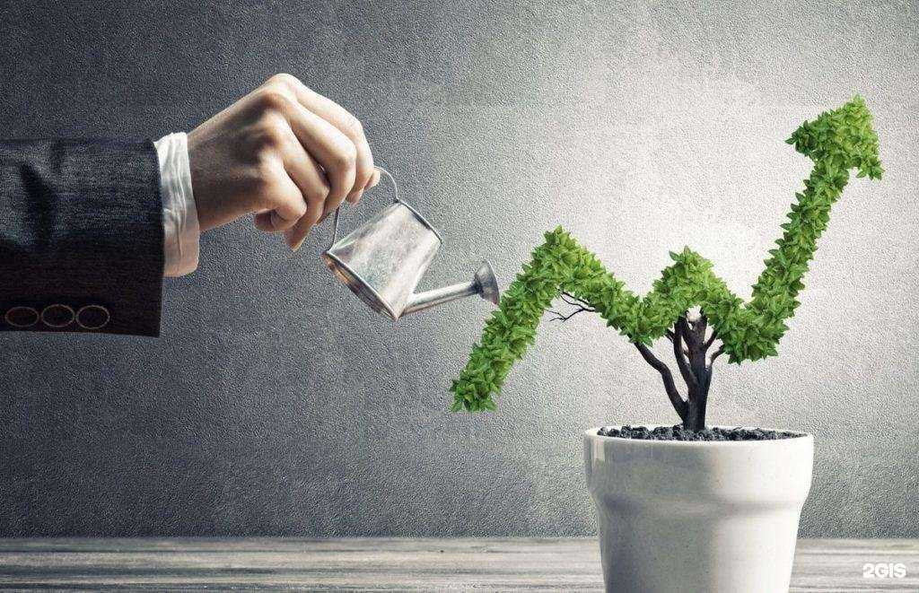 Отзывы на компанию Вэльтри в г. Липецк c фото