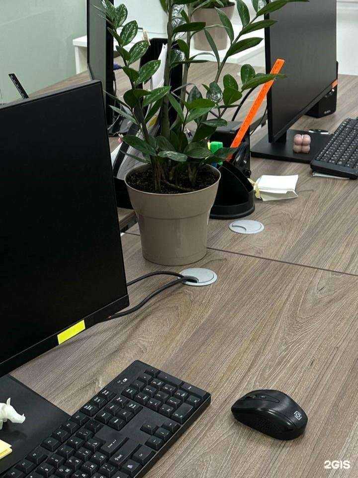 Отзывы на компанию Турфиш в Ярославле c фото