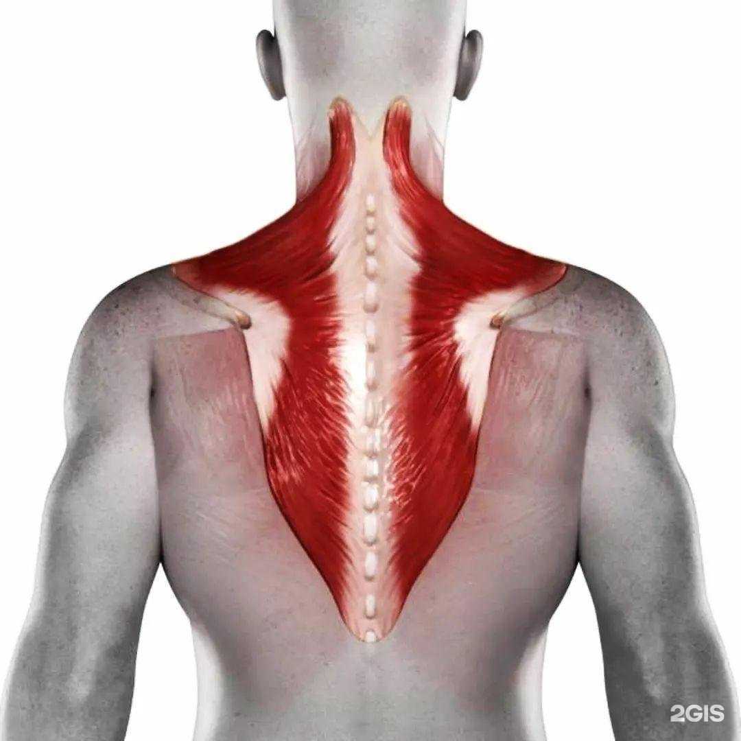 Отзывы на компанию Ramyata в г. Казань c фото