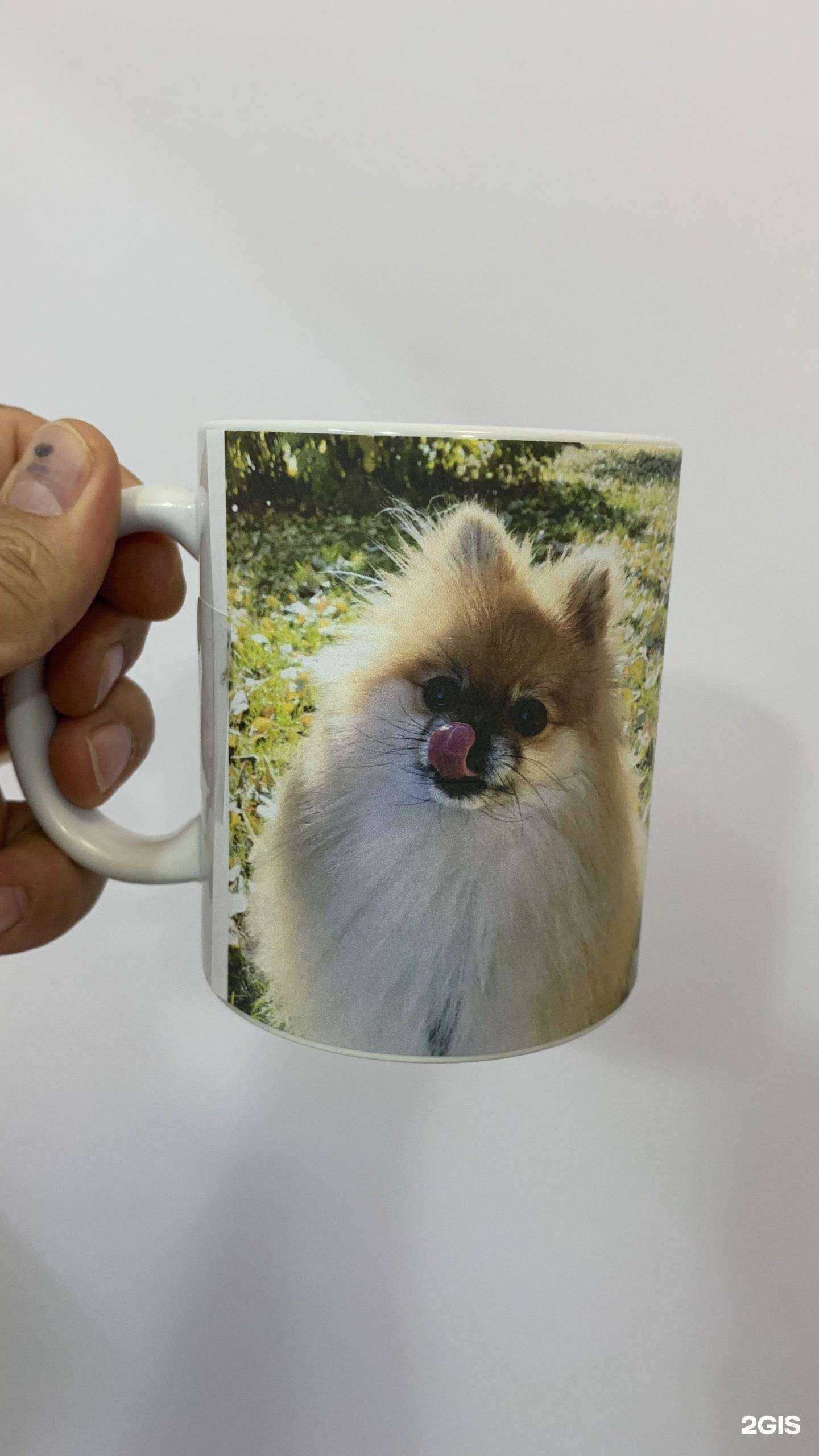 Отзывы на компанию Novin-print в Тюмени c фото