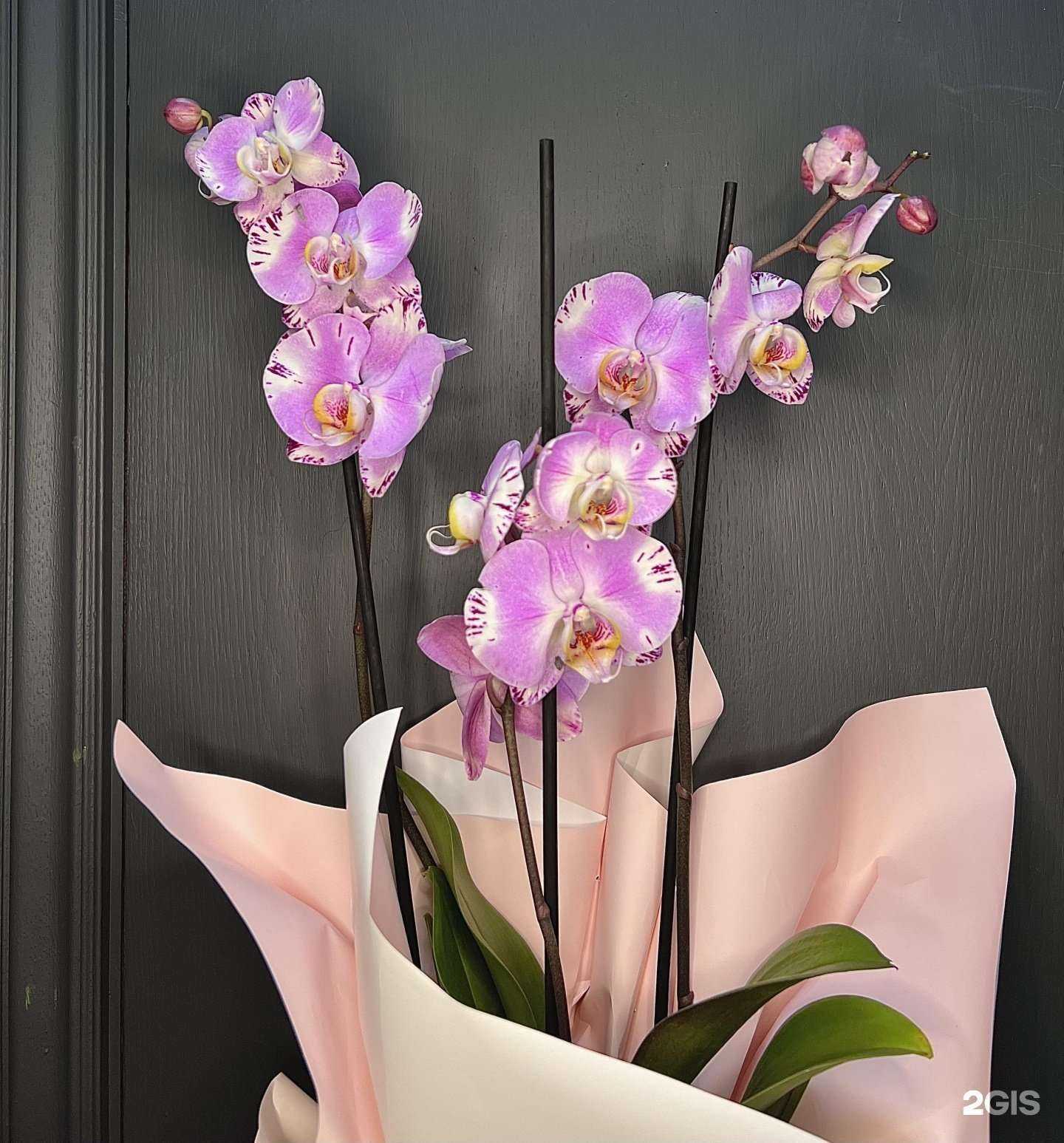 Отзывы на компанию Цветочные дела в Красногорске c фото