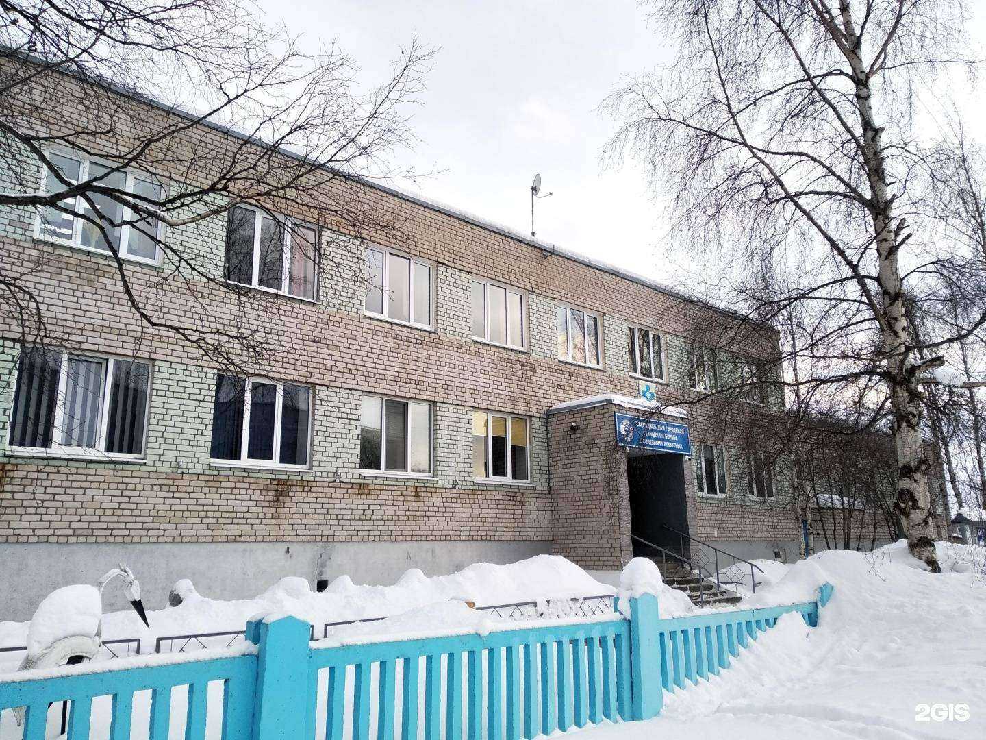 Отзывы на компанию Северодвинская городская станция по борьбе с болезнями животных в Северодвинске c фото