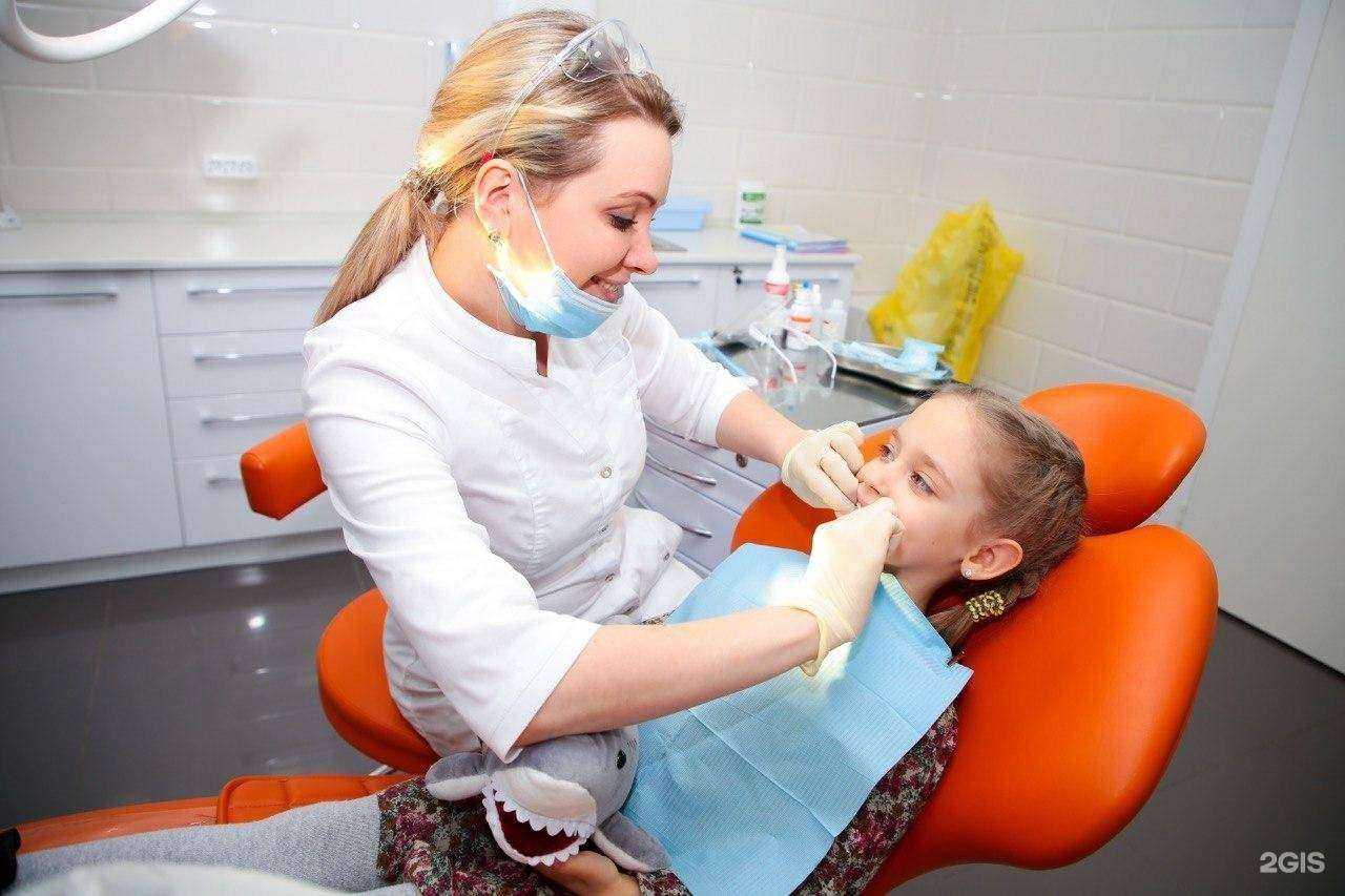 Отзывы на компанию Акула в Красноярске c фото