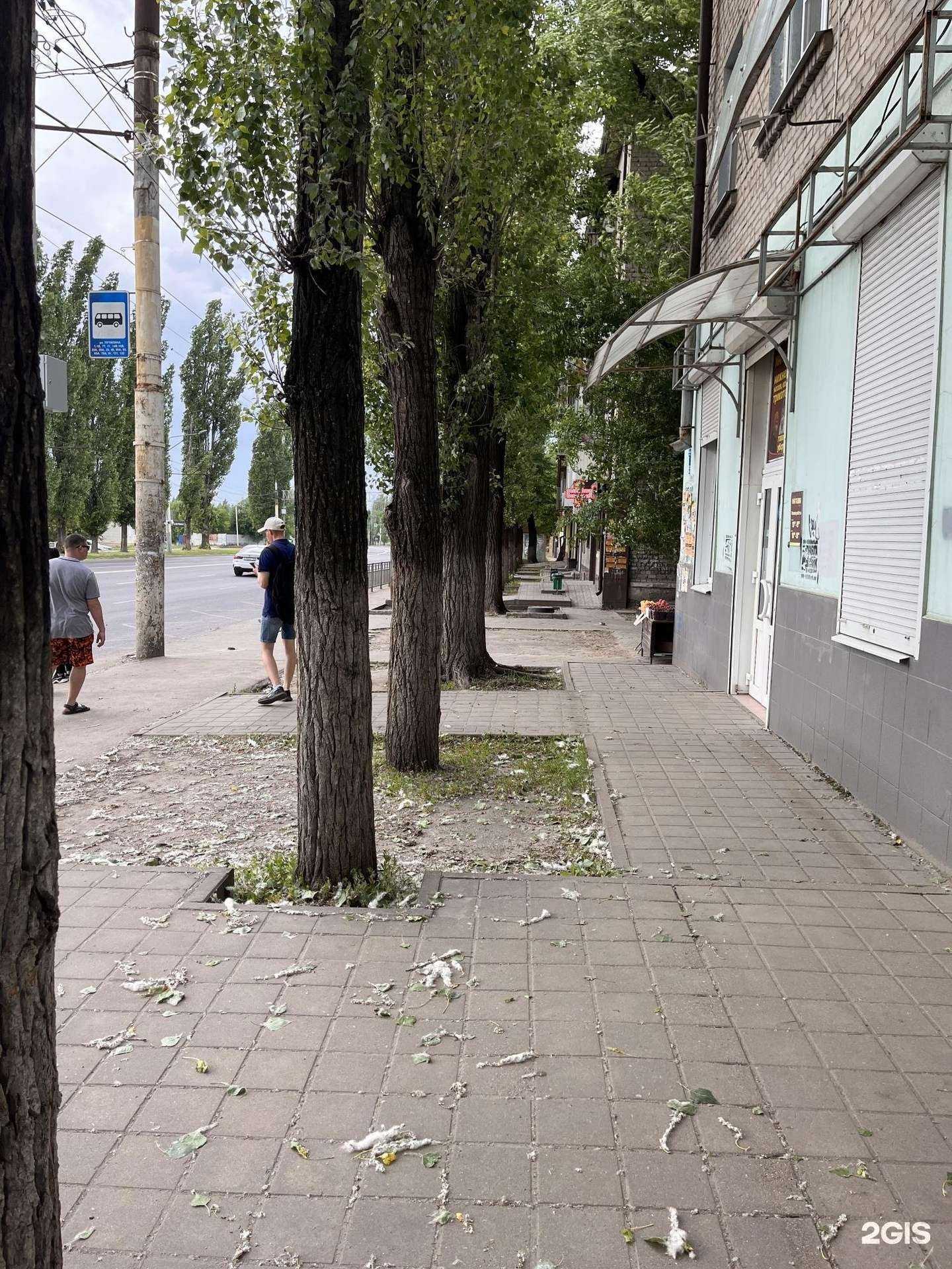 Отзывы на компанию Максавит в Воронеже c фото