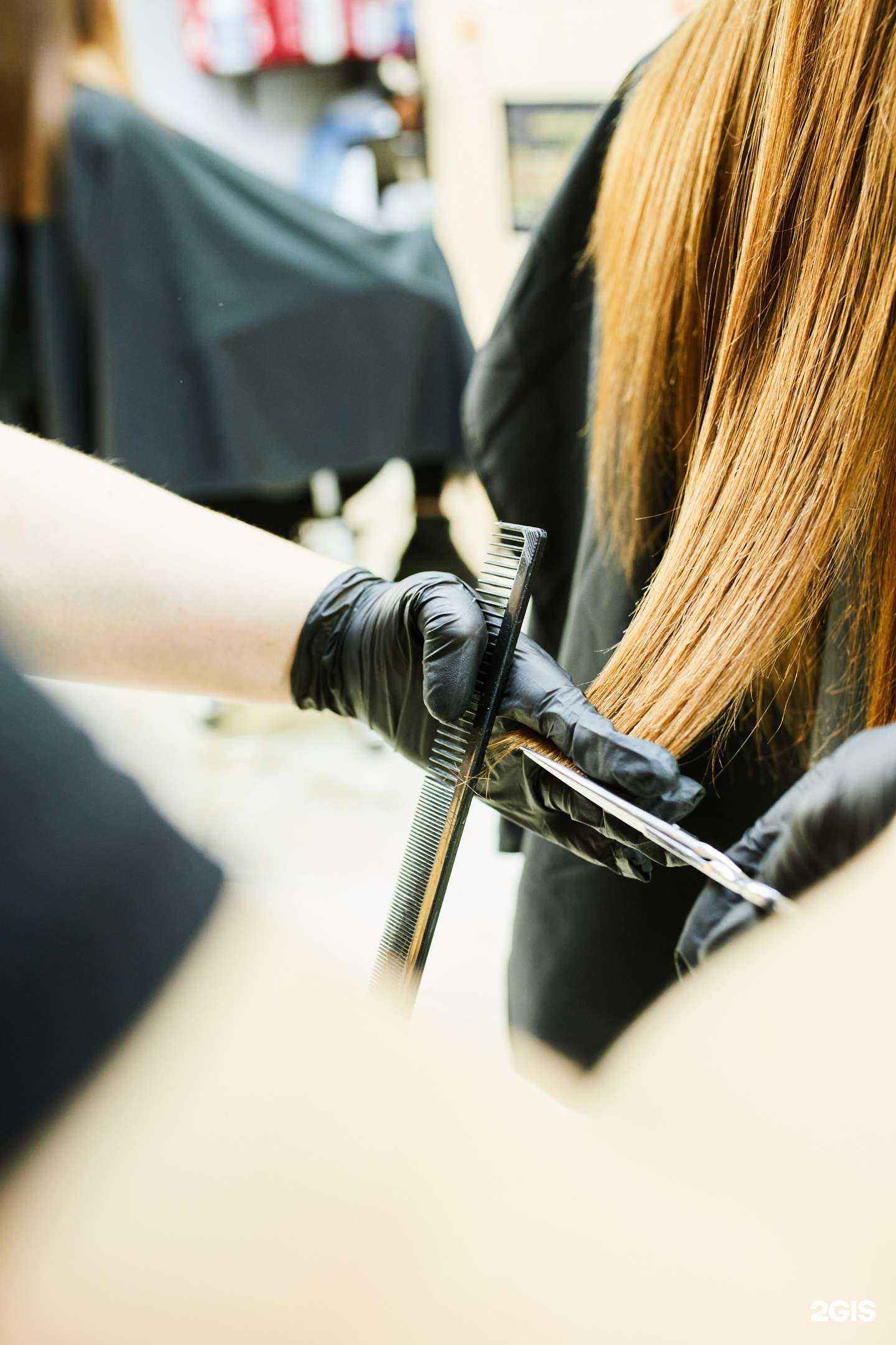 Отзывы на компанию Чио чио в Калининграде c фото