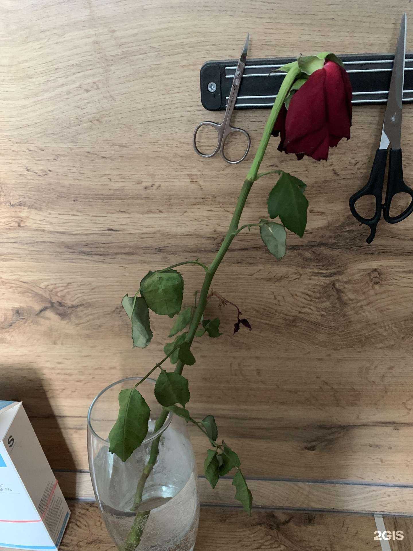 Отзывы на компанию Букет Бутик в г. Киров c фото