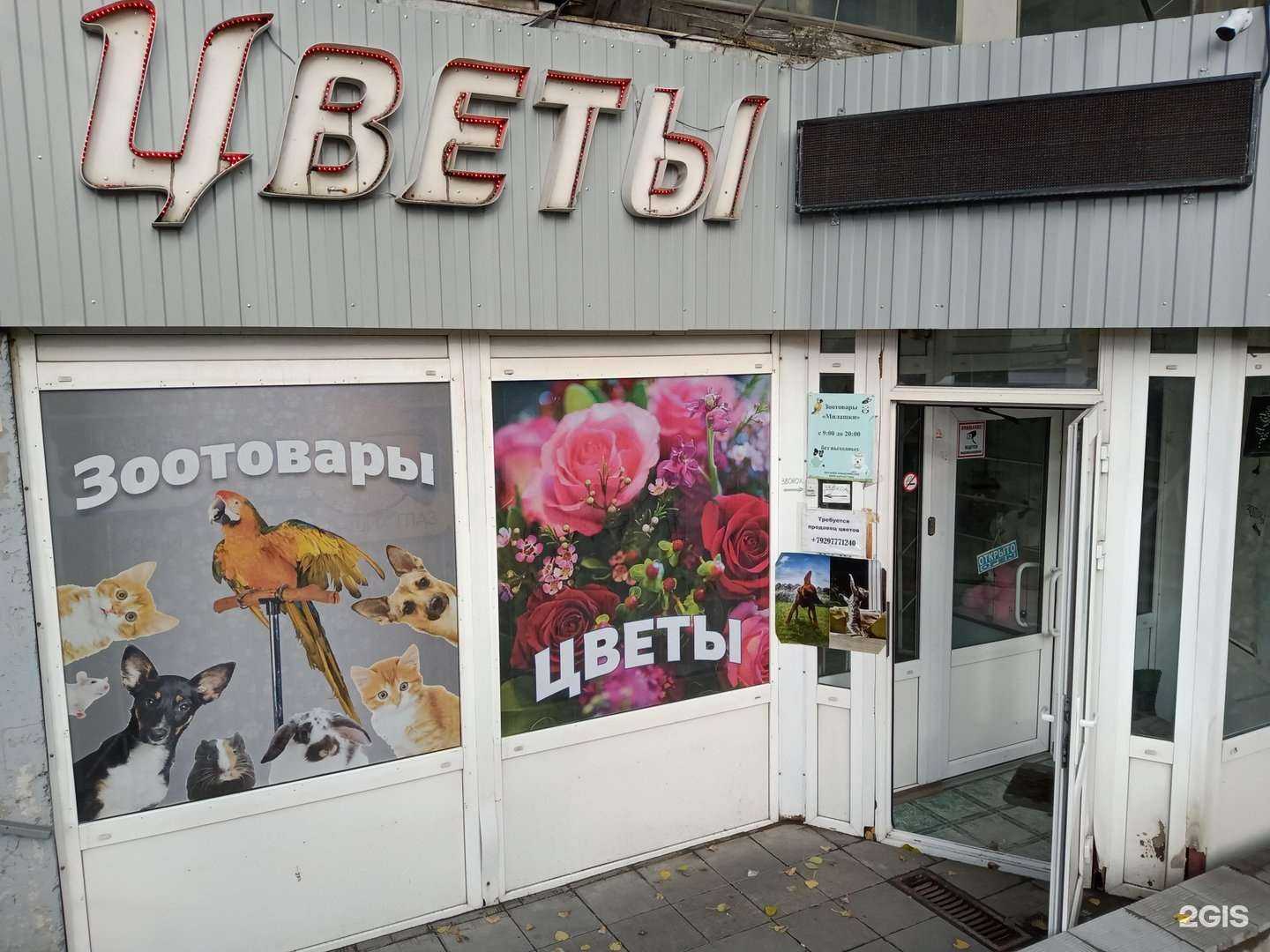 Отзывы на компанию Милашки в г. Саратов c фото