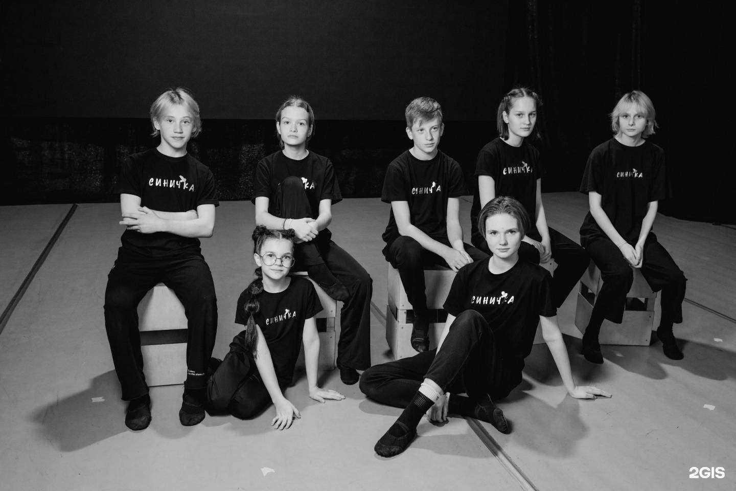 Отзывы на компанию Синичка в Владивостоке c фото