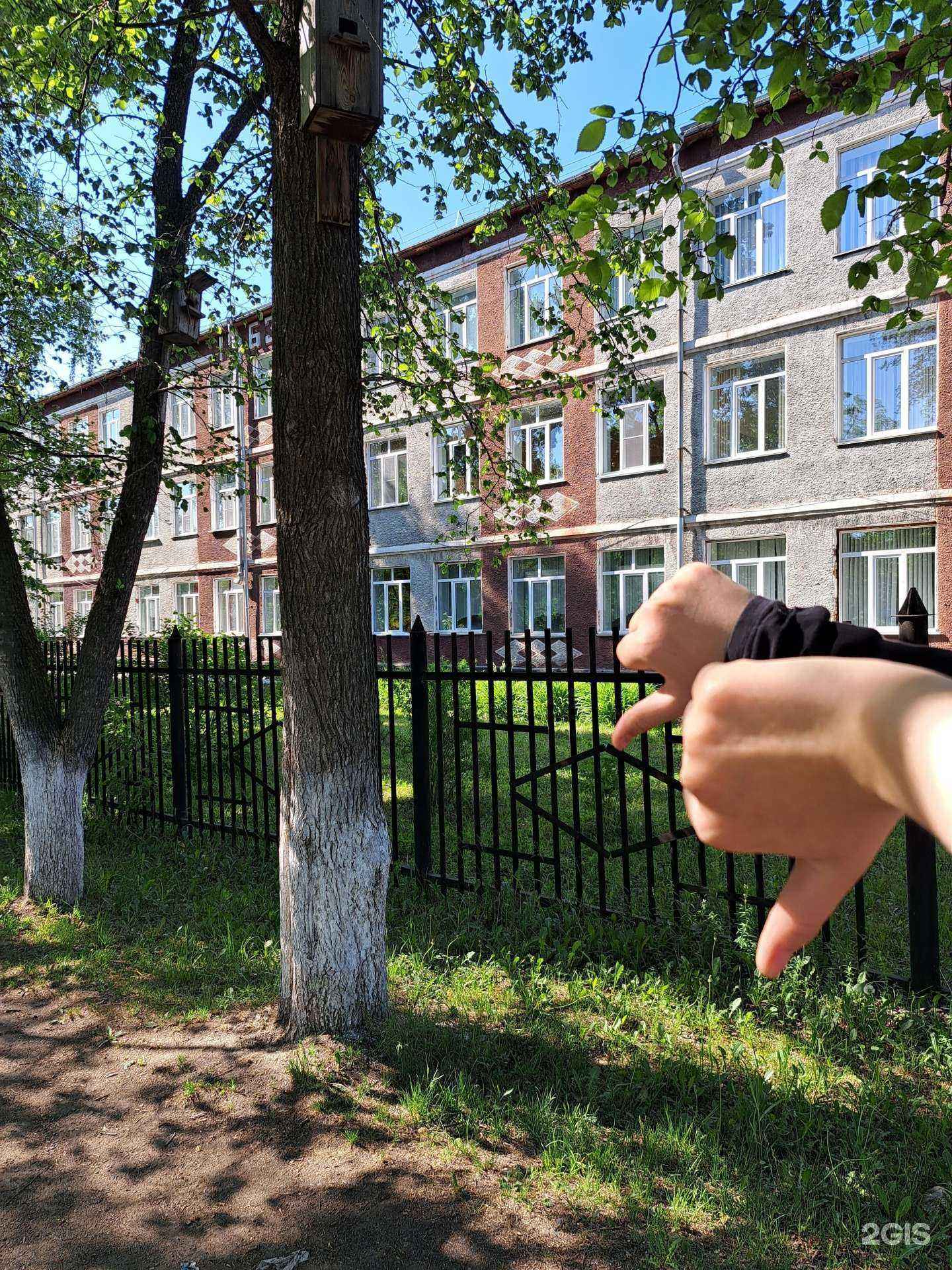 Отзывы на компанию Средняя школа №52 в Кемерове c фото