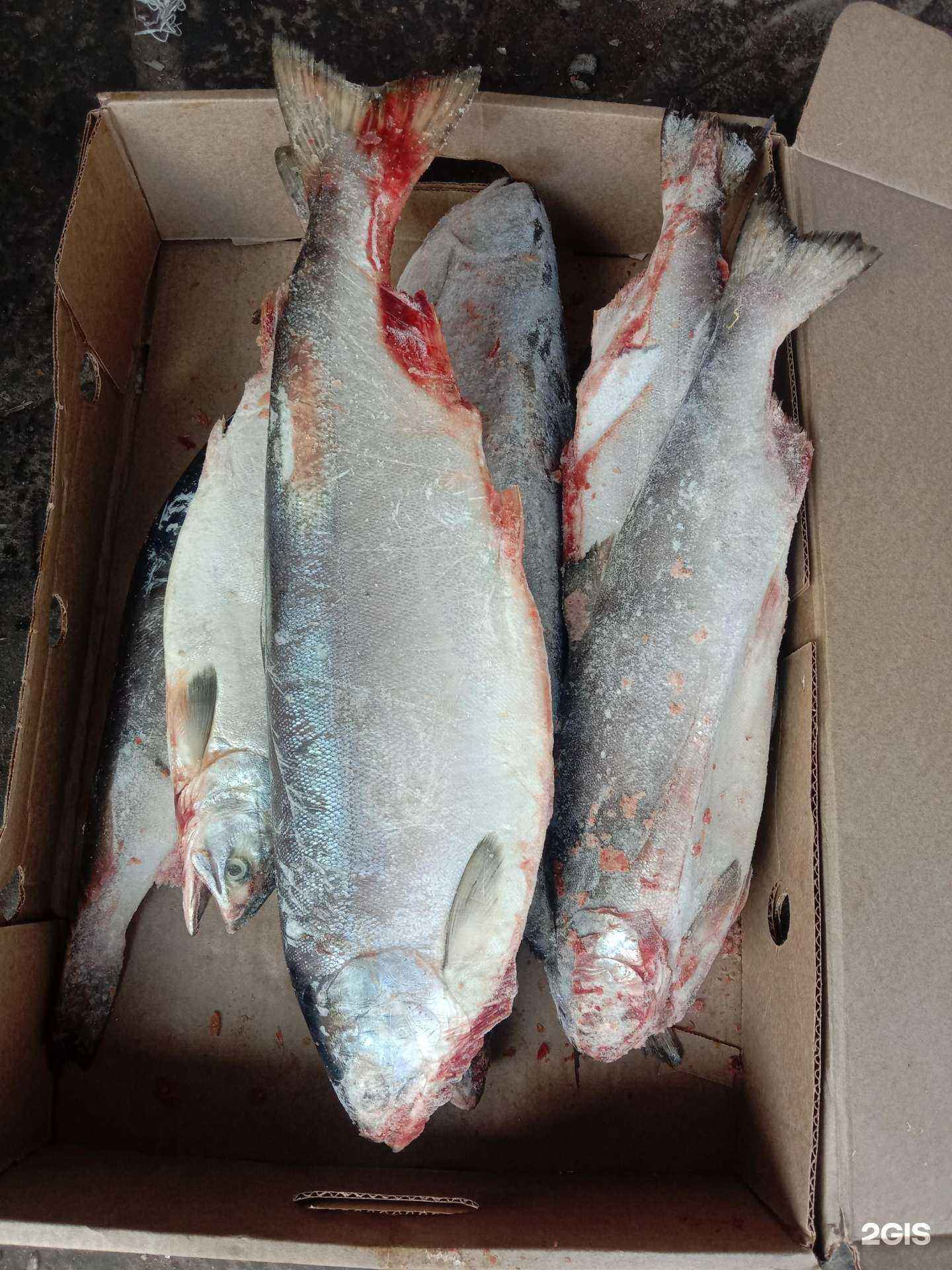 Отзывы на компанию Флагман Fish в Улан-Удэ c фото