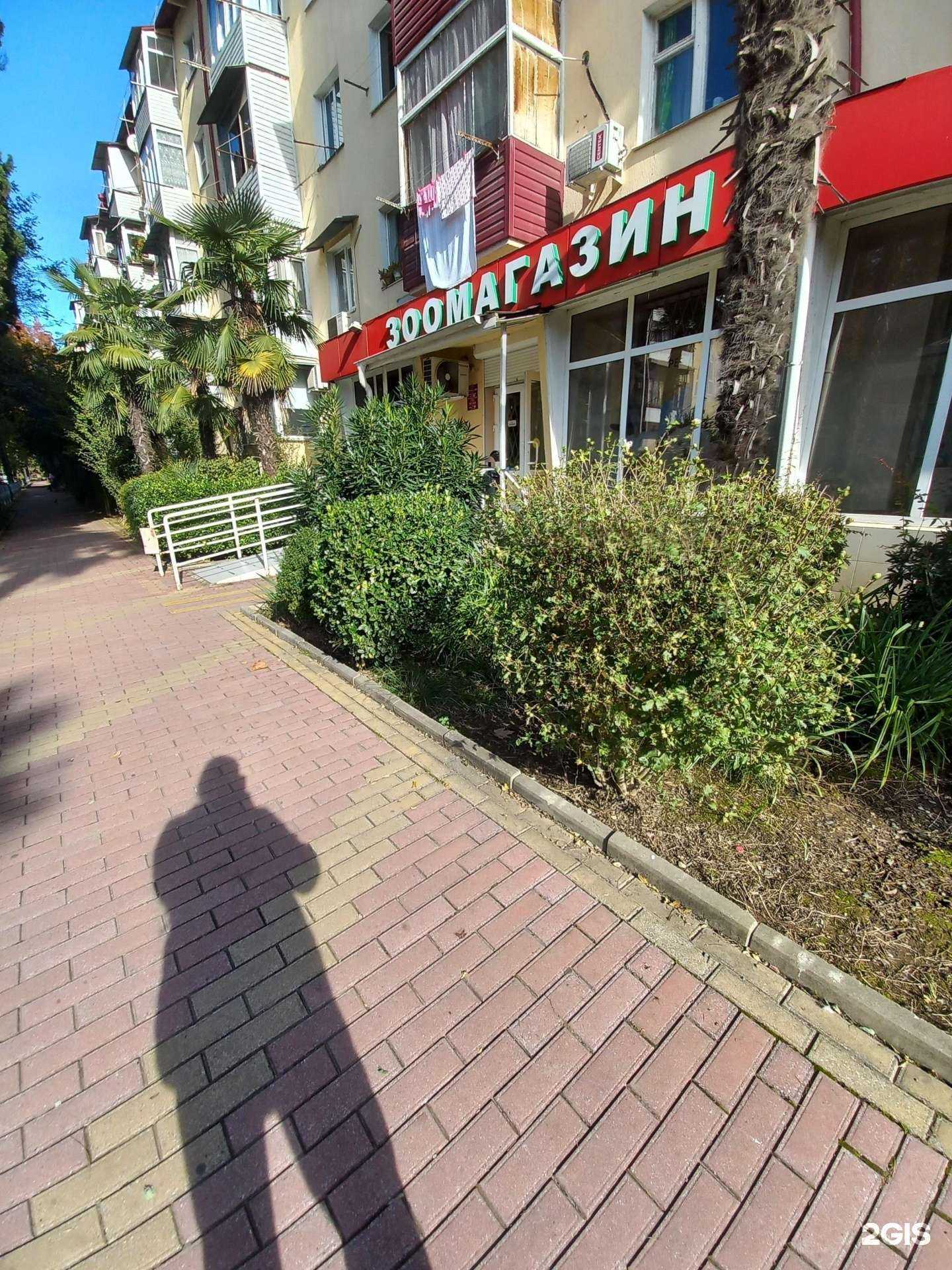 Отзывы на компанию Любимчик в г. Сочи c фото