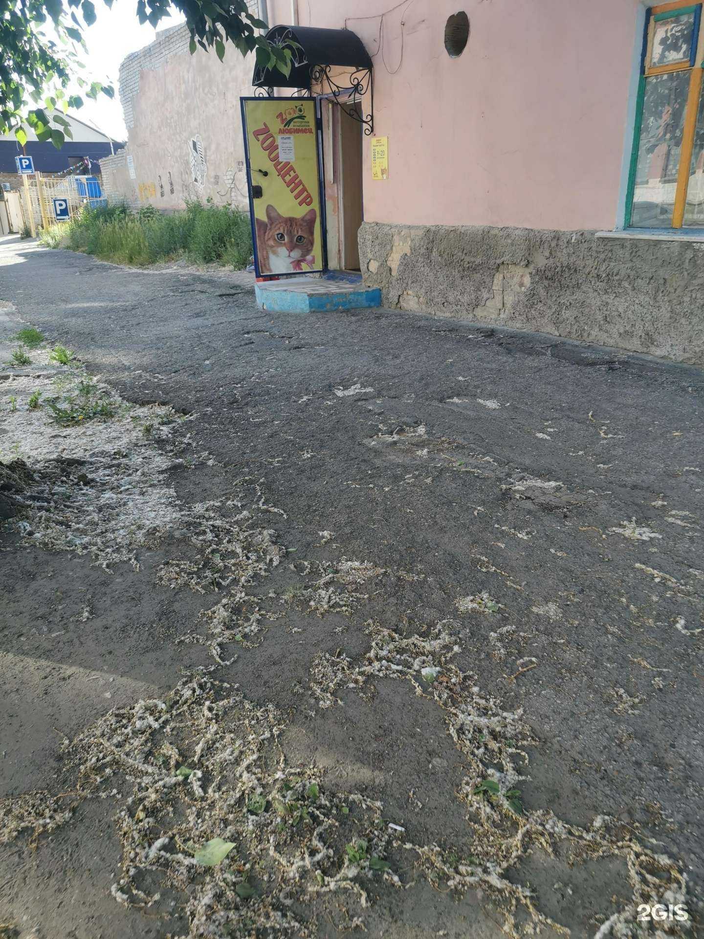 Отзывы на компанию Любимец в г. Ульяновск c фото