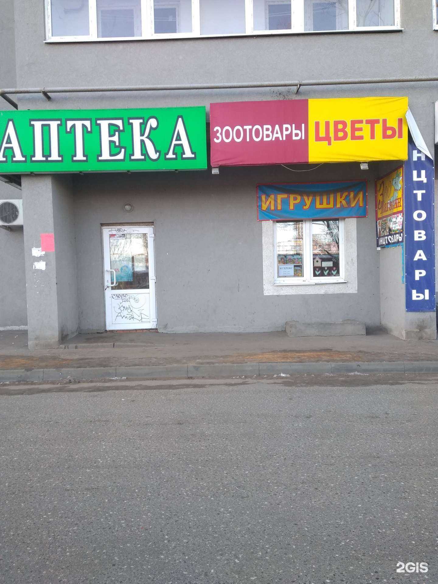 Отзывы на компанию Лапушки в г. Иваново c фото