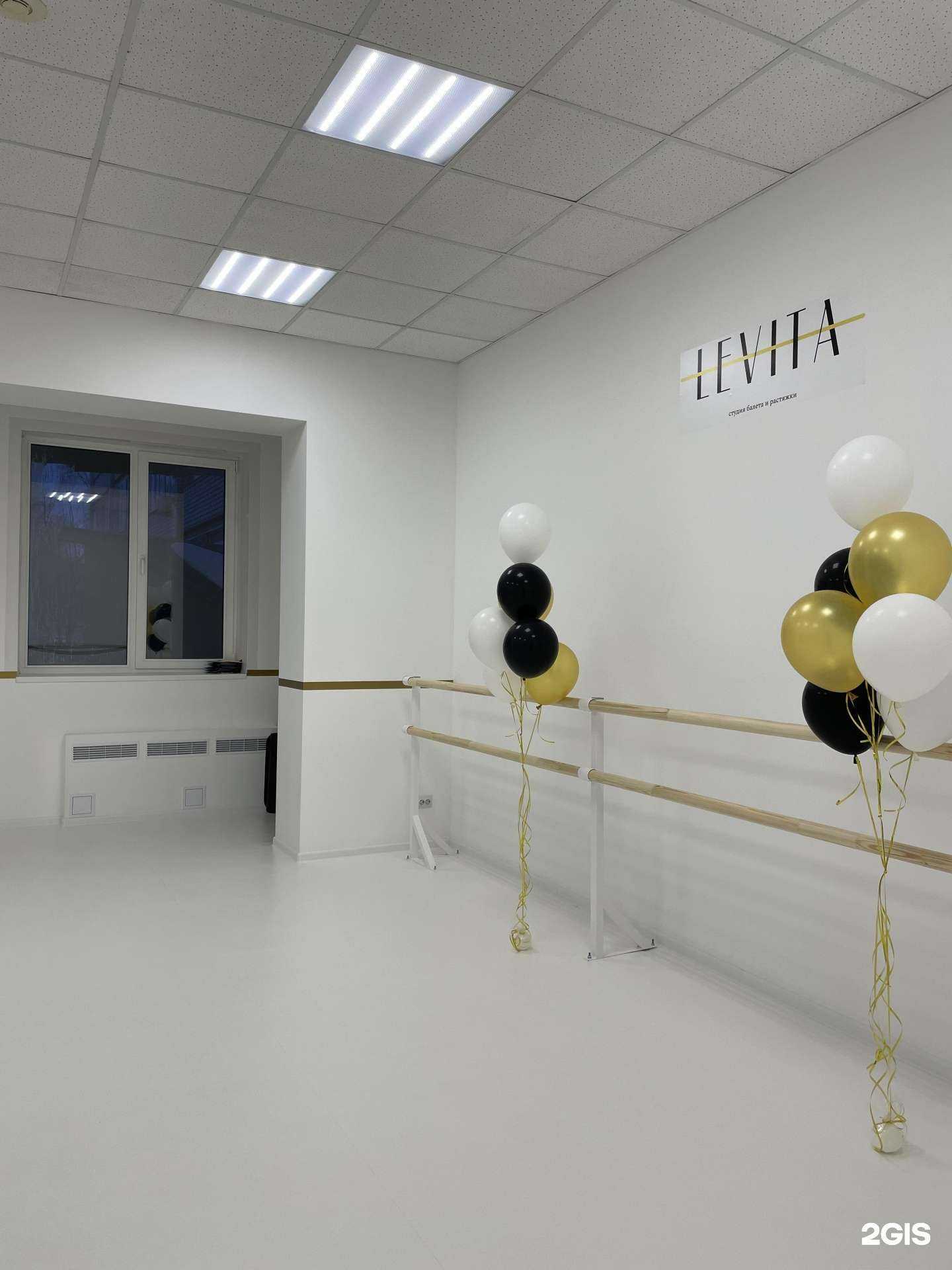 Отзывы на компанию Levita в Тольятти c фото