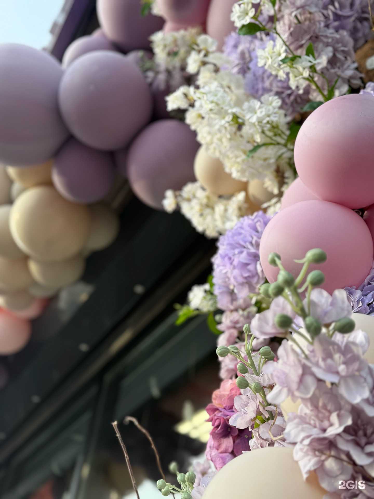 Отзывы на компанию Корона в г. Альметьевск c фото