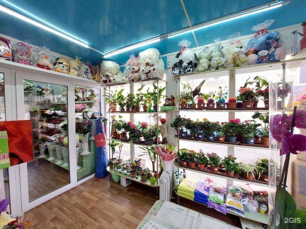 Отзывы на компанию Жасмина в Томске c фото