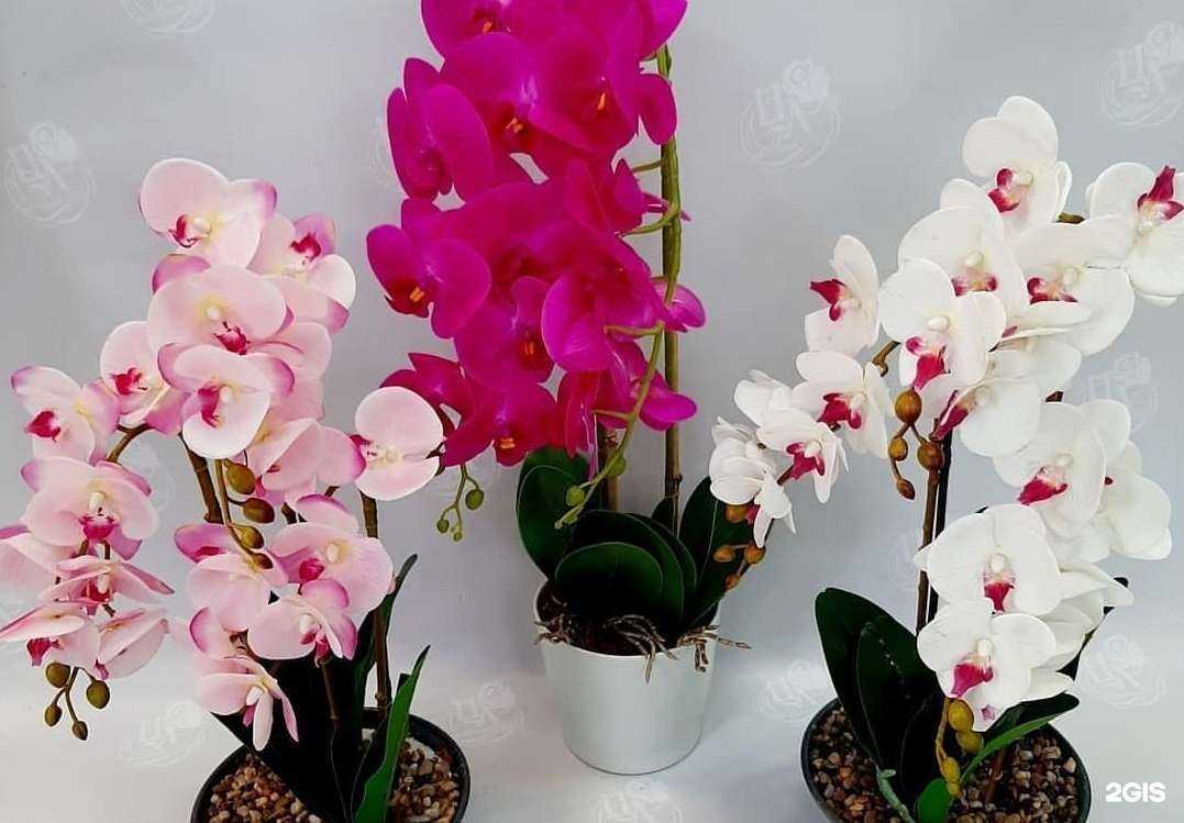 Отзывы на компанию Цветочная лавка в г. Магнитогорск c фото