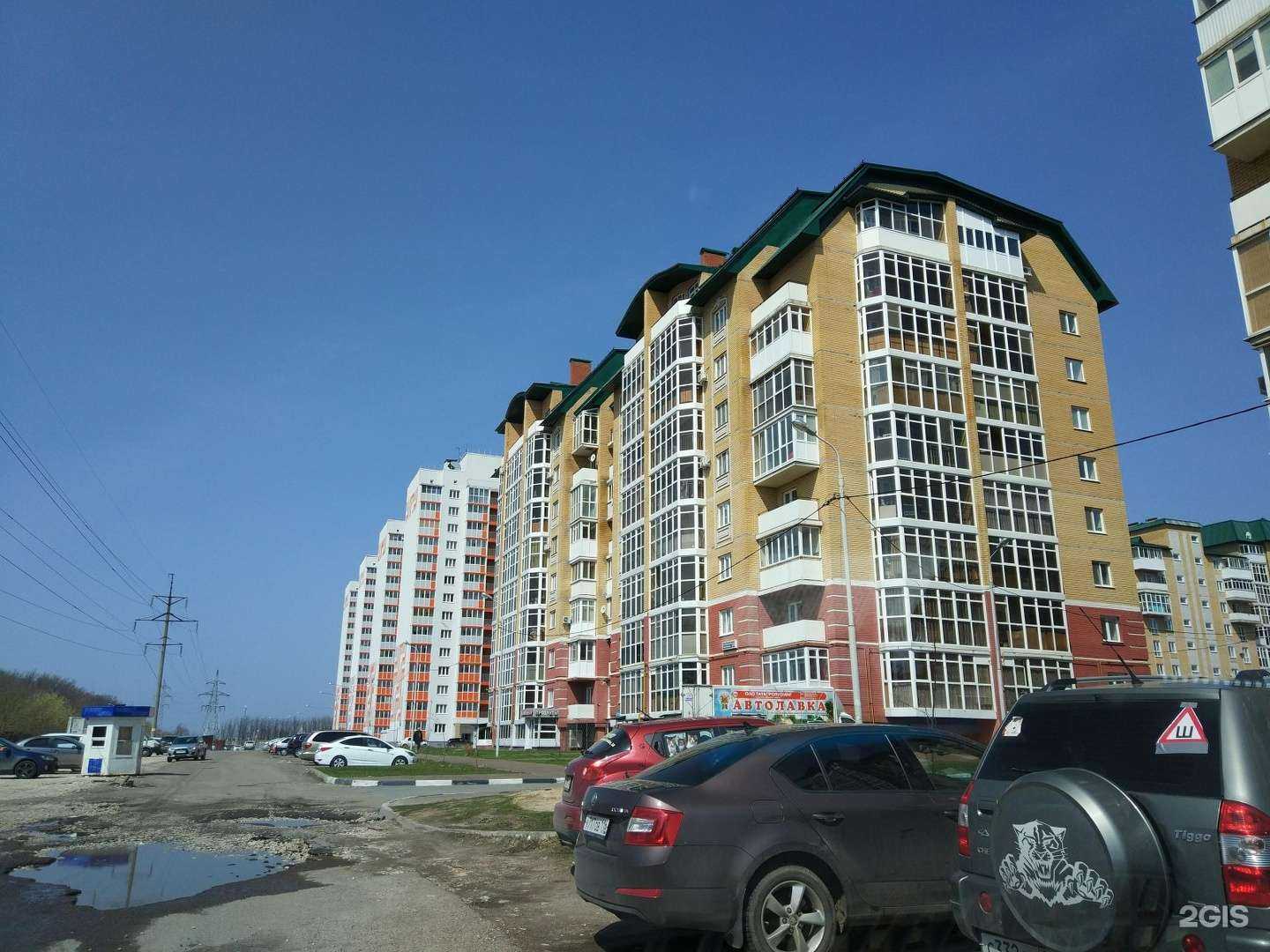 Отзывы на компанию Девушка с ковриком в Казани c фото - фотография 2 из 2