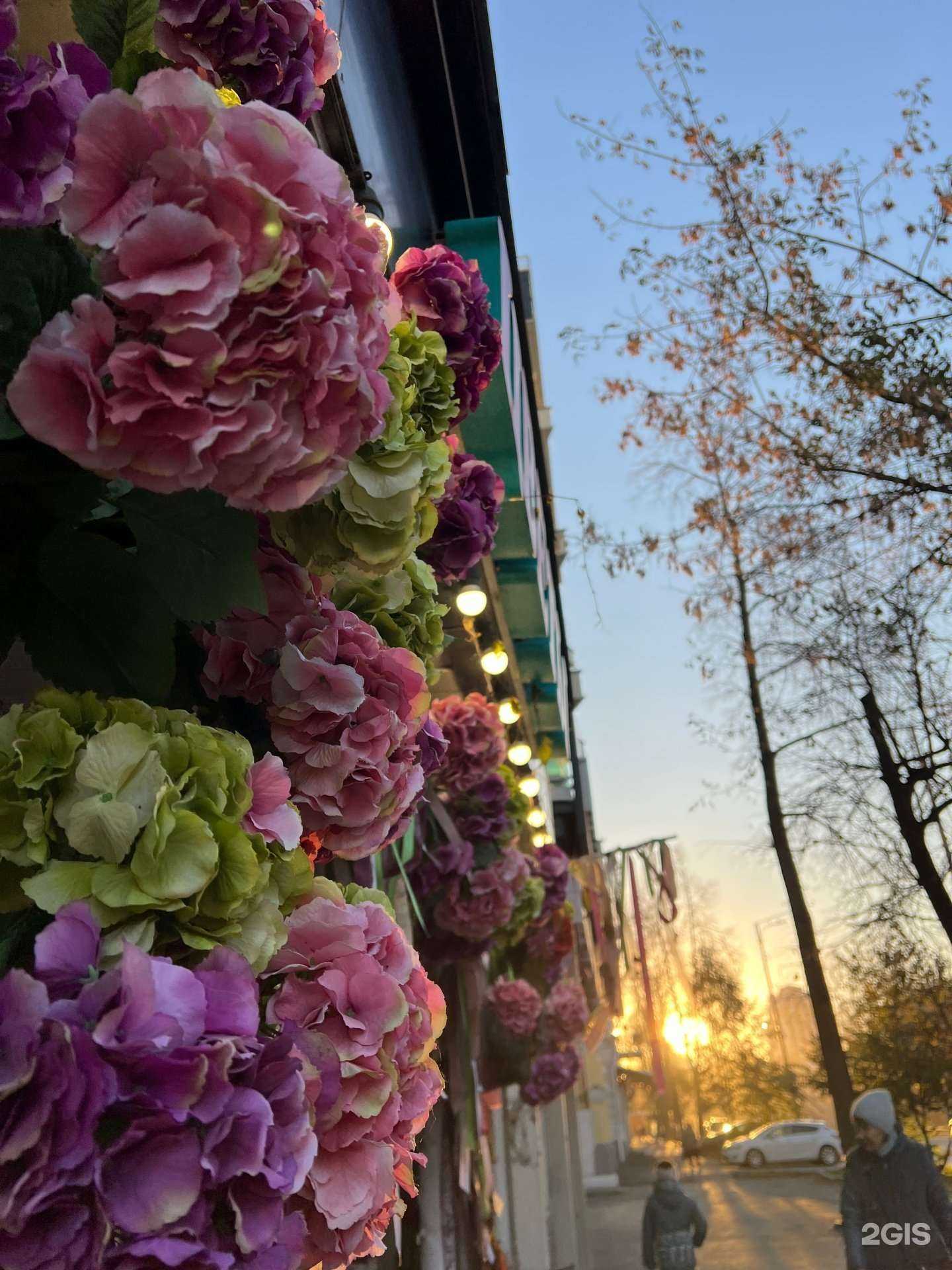 Отзывы на компанию Мой зверь в Перми c фото - фотография 2 из 2