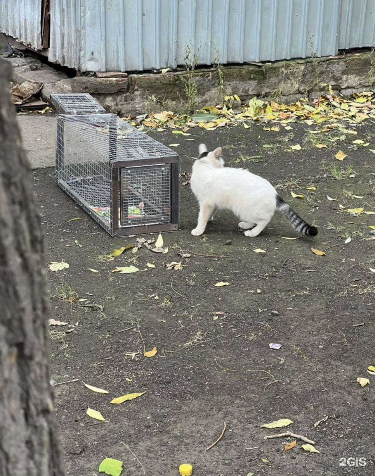 Отзывы на компанию Добрый отлов в г. Челябинск c фото