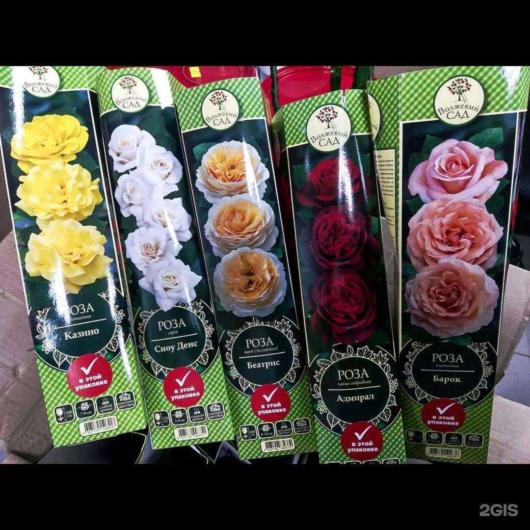 Отзывы на компанию Фазенда в Липецке c фото