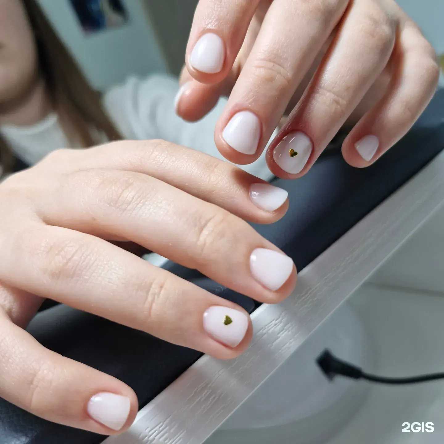 Отзывы на компанию Львица в г. Рязань c фото