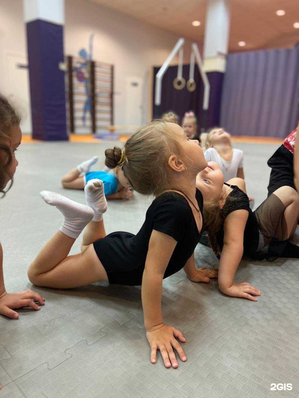 Отзывы на компанию Спортивная академия Ильи Карпенко в Новокузнецке c фото