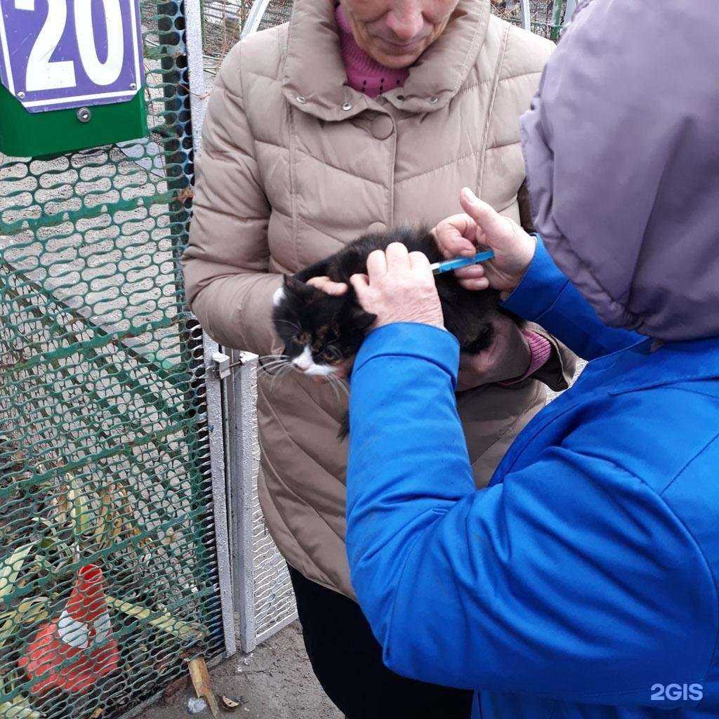 Отзывы на компанию Управление ветеринарии Тимашевского района в г. Тимашёвск c фото